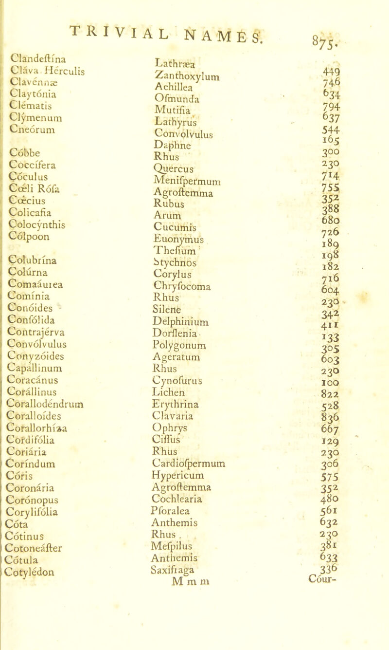 Clandeftma Clava Herculis Clavennie Claytonia Clematis Clymenum Cneorum Cobbe Coccifera Coculus Cceli Rofa Ccecius Colicafia Colocynthis Colpoon Colubima Colurna Comaauiea Cominia Conoides - Confolida Contrajerva Convolvulus Conyzoides Capallinum Coracanus Corallinus Corallodendruin Coralloides Corallorhiaa Cordifolia Coriaria Cormdum Coris Coronaria Coronopus Corylifolia Cota Cotinus Cotoneafter Cotula Cotyledon I A L NAMES*. Lathraea iianthoxylum Achillea Ofmunda Mutifia^ Lathyriis Comolvulus Daphne Rhus Quercus Menifpermum Agroftemma Rubus Arum Cucumis Euonytrius Thefium' btychrios Corylus Chryfocoma Rhus Silene Delphinium Dorflenia Polygonum Ageratum Rhus Cynofurus Lichen Erythrina Clavaria Ophrys CilTus Rhus Cardiofpermum Hypericum Agroftemma Cochlearia Pforalea Anthemis Rhus . Mefpilus Anthemis Saxifiaga M m m 449 746 f>34 794 637 544 165 300 230 714 7SS 352 388 680 726 189 198 182 716 604 23Q 342 4ir 133 305 603 230 100 822 528 836 667 129 230 30^ 575 352 480 561 632 230 381 633 336 Cour-