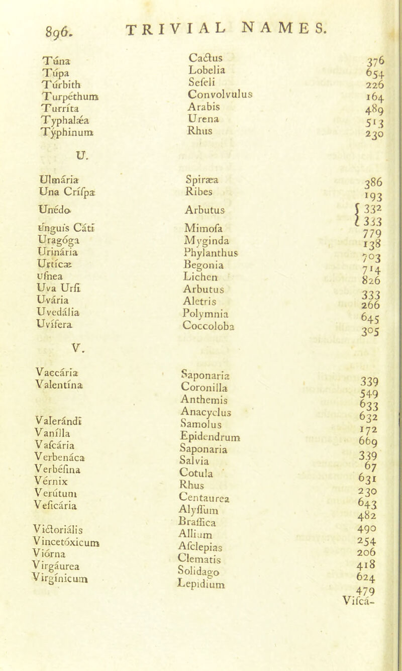 Tuna Cadtus 376 Tupa Lobelia 654 Turbith Sefeli 226 T urpethum Convolvulus 164 Turrita Arabis 489 Typhalaea Urena 513 Typhinum Rhus 230 u. Ulmaria Spiraea 386 193 Una Crifpa Ribes Unedo. Arbutus 5 332 linguis Cati Mimofa 1363 779 Uragoga Myginda § t j 128 Urinaria Phylanthus 703 7 IA Urticae Begonia ufnea Lichen 826 •0 0 0 Uva Urft Arbutus U vari a Alctris 333 266 Uvedalia Polymnia 645 305 Uvifera V. Coccoloba Vaccarla Valentina Valerandi Vanilla V afcaria V erbenaca Verbelina Vernix Verutum V eficaria Vidlorialis Vincetoxicum Viorna Virgaurca Virginie uin Saponaria Coronilla Anthemis Anacyclus Samolus Epidendrum Saponaria Salvia Cotula Rhus Centaurea Alyflum Brallica Allium Afclepias Clematis Soli dago Lepidium 339 549 633 632 172 669 339 67 631 230 643 482 490 254 206 418 624 ,..^79 Vifea-