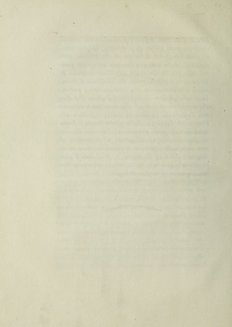  A-', s. ....V • V ’ ) . -t -il' < <, !, '■'Jh. Koni V. /r» , r rr,, > -■i’ ■ j !» . ■ “- ■■ ■” , ^' - ■ ■ V / à. >V ii, ir^.M V,'-: '’■■ - ,“' V .; '-VfVKj-v'. ■ ,:- . ^ }\ ■ >> . w. V . ; -'t . ,• \^^■ <V'> -■< . V ’ ' ' ' ' ■• '■‘‘ ■ ' '• V* '} r ■'- .*.• ■ ’.. -'i. Ì\\ ' -ii .. ■>‘'f . ' ' / ;'> •[ ' Vi V ■• ’ ■''' -M'' .,• i- ’ '. i'''''1 '.■.-i5ì \‘‘'''•'• '  '■' ‘‘ ^ ';' ; , ‘ ' « ’t., :‘. ‘ ’-'i v.-Ci ?':♦*»• I' L. • i. >;. ( :.t;^ r 1, .,7t\' »-* •■-'w.-'^'^v .'vU<ii‘ :' %-’>'nv ‘Hu^t j'..•', ■.^ M^tJWHK . V. ' . . . , . .‘.f'iiii 1 ;'.. ■^>^:'^ i .n.''.‘, '  ’ •■ ■-• '' 'A- '• 4\‘> ' ■, o' ♦ ■ s,. 1 iV - ^ I \ !■■ IV I ■ ,'i. •■ ' • ®- . /•’. yh ■ W' , •;• > f\, A. ., t'i m r- i ■. i. 'i^ j'i ‘■*'* ■ ' I t-. ' -^ I y ■': >■ ^^ ,, -, -.^Vr ■>,. .■ t, ; > ' ; i ; •■ ,.■ , ' T>-- ■ ’•'’•, ■■• ;■ ’V;.', '^^% !'■;-/ '. 'i ■i; ..fi ,r &:,*tea . . jè|!ri«“ r ■ y ’=# ■ ji ì.ì.i'Ìmì' » .. • ■ ^- •_, - , • /r‘‘ ,<>'■ , ■■ • i ?? • .jr < i u»* > - fv . Vi^'v.^i; 'li, \ V . ‘ ' ' ' . . - .' ^.i V 1