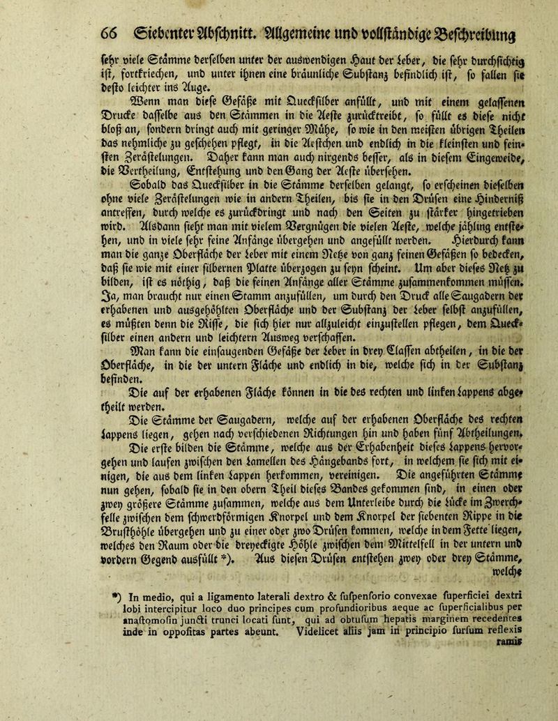 fe^r rnele ©tämme berfelben unter ber auSwenbtgen Jpaut ber Jeber, bte fef>r burt^ftc^d^ iß, fortfriedjen, unb unter ißnen eine bräunliche ©ubßanj beßnbltdj ift, fo fallen fie beßo leichter ins 2luge. 33enn man biefe ©efäße mit Duecffilber anfüllt, unb mit einem gelaßenm £)rucfe baßelbe aus ben ©fämmen in bie 2leße jurüeftreibt, fo füllt es biefe nicht bloß an, fonbern bringt auch mit geringer SDlüße, fo n>ie in ben meißen übrigen feilen bas nehmlicße ju gefeiten pflegt, in bie Tierchen unb enbltd) in bie fleinßen unb fein« ßen Setäßelungem Spaßer fann man auch nirgenbs beffer, als in biefem ©ingeweibe, bie QSertbeilung, ©nfßeßung unb ben@ang ber 2leße überfeinen. ©obalb bas üuecfftlber in bie ©tämme berfelben gelangt, fo erfcheinen biefelben o^ne otele 3eräßelungen tote in anbern ^heilen, bis ße in ben prüfen eine £inberntß antreffen, burch welche es jurüefbringt unb nad) ben ©eiten ju ßärfer ßingetrieben wirb. Tllsbann fieljf man mit oielem Vergnügen bie otelen riefle, welche jäf)ltng enfße* ßen, unb in oiele feßr feine Anfänge ubergehen unb angefüllt werben. Jpierburd) fann man bie ganje Oberfläche ber ieber mit einem 91e|e oon ganj feinen ©efäßen fo bebeefen, baß fie wte mit einer ftlbernen glatte überzogen $u fepn feßeinf. Um aber btefeS ju btlben, iß es notßig, baß bie feinen Anfänge aller ©tämme $ufammenfommen tnüßen* ^a, man braucht nur einen ©tamm an$ufütlen, um burch ben Drucf a(le©augabern bet erhabenen unb ausgeßohlfen öberßäcße unb ber ©ubßanj ber leber felbß anjufüllen, es müßten benn bie JXiße, bie ftch hier nur alljuletcßt etnjußellen pßegen, bem £iuecf* filber einen anbern unb leichtern TluSweg oerfeßaffen. 9)?an fann bie einfaugenben ©efäße ber ieber in brep €laffen abtheilen, in bie bet Oberfläche, in bie ber untern S(äcße unb enbltcß in bie, welche ftch in ber ©ubßanj beßnben. 35ie auf ber erhabenen ^fdch« fonnett in bie bes rechten unb (infen JappenS abgee rßetlf werben. SDie ©tämme ber ©augabern, welche auf ber erhabenen Oberfläche bes rechte» iappens liegen, goßen nach oerfeßtebenen SKtcßfungen hin unb haben fünf Tlbrhetlungem SOie erße bilben bie ©tämme, welcße aus ber ©vßabenßeit btefeS iappens ßeroor« geßen unb laufen jwifeßen ben Jamellen bes Jpängebanbs fort, in welchem fte ftch mit ei- nigen, bie aus bem (infen lappen ßerfommen, bereinigen. £)te angeführten ©fämm« nun gehen, fobalb fte in ben obern Xßetl biefes SSanbeS gefommen ftnb, in einen ober jwep größere ©tämme jufammen, welche aus bem Unferleibe burd) bie lüefe im3wercß* feile jwifeßen bem feßwerbformigen Knorpel unb bem Knorpel ber ftebenfen JXippe in bte JSrußhoßle übergeßen unb ju einer ober jwo prüfen fommen, welcße in bem gette'liegen, welches ben £Kaum ober bie brepeefigte -hcßle ^wifeßen bem SOUftelfell tn ber unfern unb »orbern ©egenb ausfüllt *)♦ TluS btefen Prüfen enfßeßen $wep ober brep ©tämme, weld;e •) In medio, qui a ligamento laterali dextro &amp; fufpenforio convexae fuperficiei dextri lobi intercipitur locO duo principes cum profundioribus aeque ac fuperficiaiibus per anaftomofin jun&amp;i trunci locati funt, qui ad obtulum hepatis marginem recedentes inde in oppofitas partes abeunt. Videlicet aliis jam iri principio furiiim reflexis ramis