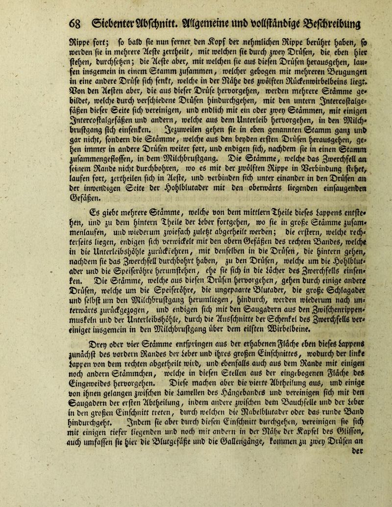SHippe fort; fo bait) fie nun ferner ten $opf bet nehmlidjen SXippe Gerührt ^aben, fo werben fie in mehrere Tteffe jertheilf, mif weldjen fie burd) jwep prüfen, tie eben ^iec fielen, burdjfehcn; bie ?(efle aber, mit welchen fte aus biefen prüfen herausgehen, lau» fen insgemein in einem Stamm jufammen, welcher gebogen mif mehreren Beugungen in eine anbere ©rufe fid) fenft, weid)e in ber 9Rd^e beS jnodifren EKucfenwirbelbeins liegt* Bon ben Tfefien aber, bte aus biefer ©rufe hervorgehen, werben mehrere Stamme ge* bitbef, roelcf)c burd) verfcbiebene ©rufen hinburdjgehen, mit ben unfern .^mercoffalge» faßen biefer Seife ftd) vereinigen, unb enblid) mif ein ober jwep Stammen, mif einigen 3fnfereoflalgefdßen unb anbern, roelcbe aus bem Unterleib fjervorgeben, in ben Sittildj* bruflgang ftd) einfenfen. ^auweilen gehen fte in eben genannten Sfamm gan$ unb gar nicht, fonbern bie Stamme, welche aus ben bepben erffen ©rufen herausgehen, ge* hen immer in anbere ©rufen weiter fort, unb enbigen fid), naeßbem fte in einen Stamm 3ufammengeflof|en, in bem 9ttild)bruffgang. ©ie Stamme, welche bas 3roerd)fell an feinem fKanbe nicht burchbohren, wo es mif ber zwölften Stippe in Berbinbung flehet, laufen fort, jcrt^eilen fid) in Riefle, unb verbinben fich unter einanber in ben ©rufen an ber inwenbigen Seite ber .^ohlblutaber mif ben oberwdrts liegenben einfaugenbett ©efdßen. ©S giebt mehrere Stamme, welche von bem mifflern'S.heile biefes fappenS enffle« hen, unb ju bem hinfern Xheile ber ieber fortgehen, wo fte in große Stamme jufam* menlaufen, unb wieberum zwiefach jule|t abgetheilt werben; bie erffern, weld)e red)* terfeits liegen, enbigen ftd) verwicfelt mif ben obern ©efaßen beS rechten BanbeS, welche in bte Unferleibshohle jurueftehren, mif benfclben in bie ©rufen, bie hinfern gehen, nadjbem fte bas 3roerd)fell burd)bohrt haben, ju ben ©rufen, welche um bie Jpohlbluf* aber unb bte Spetferbljre herumflelpen, efje fte ftd) in bie Jdcßer beS 3roerd)fells etnfen* fen. ©ie Stamme, welche aus biefen ©rufen hervorgehen, gehen burd) einige anbere ©rufen, welche um bie Speiferohre, bie ungepaarfe Blufaber, bie große Schlagabev unb felbjl um ben 9Kild)bruffgaug herumliegen, hinburch, werben wieberum nach un* ferwdrts ^urucfgejogen, unb enbigen ftch mit ben Saugabern aus ben 3n>ifd)enrippen* musfeln unb ber Unferleibshohle, burd) bie Tfusfchnitte berSchenfel beS 3n>erd)fellS ver* einiget insgemein in ben 9Kild)brujfgang über bem eilften SfBirbelbeine. ©rep ober vier Stamme entfpringen aus ber erhabenen $lad)e eben biefeS lappen* jundd)jl beS Vorbern SKanbeS ber ieber unb ihres großen Sinfd)nitfes, woburd) ber linfe lappen von bem rechten abgetheilt wirb, unb ebenfalls auch aus bem Stanbe mif einigen noch anbern Stammchen, wcldje in biefen Stellen aus ber eingtbogenen $lddje beS Singeweibes hervorgehen. ©iefe machen aber bie vierte 2lbtheilung aus, unb einige von ihnen gelangen jwifd)en bie Lamellen beS JpangebanbcS unb vereinigen ftch mif Öen Saugabern ber erflen 2lbthei(ung, inbem anbere jwifd)en bem Baud)felle unb bev ieber in ben großen €'infd)nttt treten, burcl) welchen bie SRabelblufaber ober bas runbe Banb hinburchgeht. ^nbetn fte aber burd) biefen Smfd)nitf burchgeben, vereinigen fte ftch mif einigen tiefer (iegenbrn unb noch mit anbern in ber Sldbe ber ^apfel beS ©liffon, auch umfaffen fie h»ev öie Blutgefäße unb bie ©allengdnge, fommen $u jtvep ©rufen an