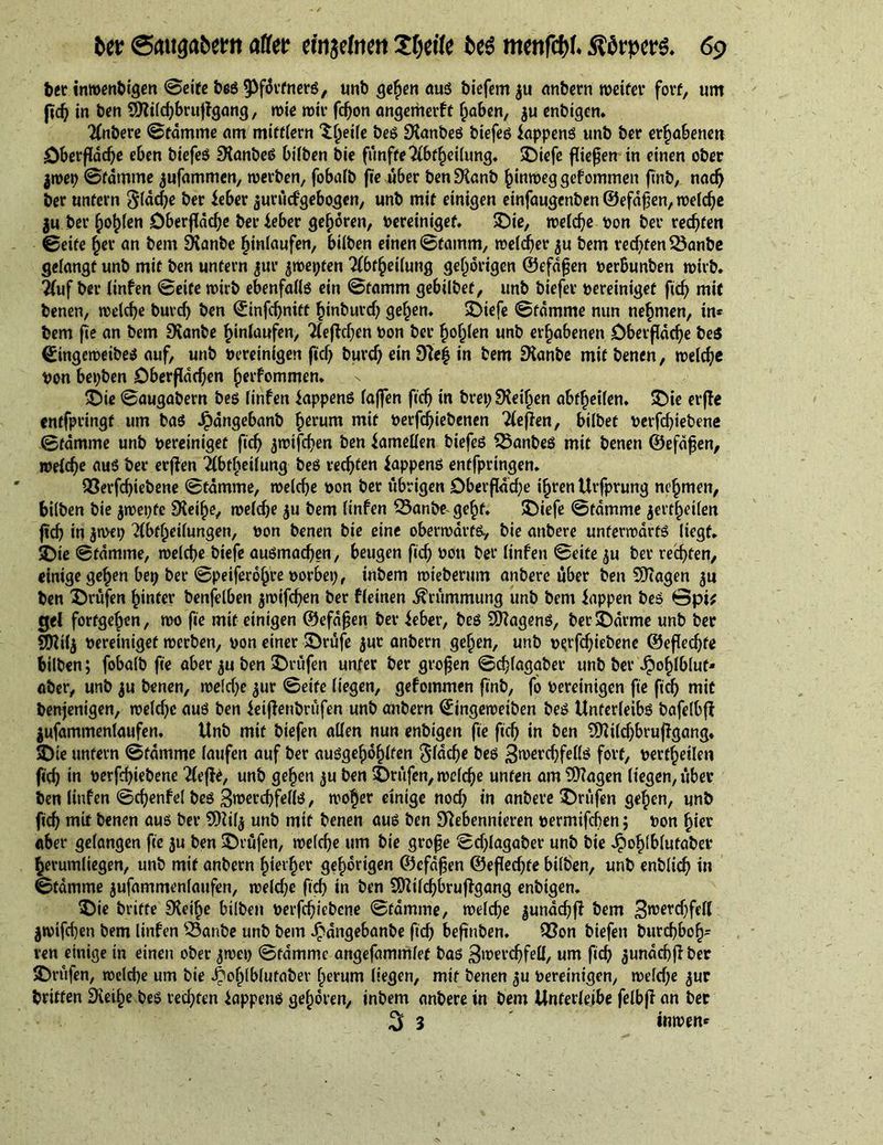 der inwendigen Seife des SPfärtners, und gehen aus diefem $u andern weifer fort, um fic^ in den 9tti(d;brujfgang, wie wir fd)on angemerft haben, ju endigen. ändere Stamme am miftiern 'i^eife des Landes diefes iappenS und der erhabenen Oberfläche eben diefes NandeS bilden die fünfte 2(bff)ei(ung. ©iefe fließen tn einen oder jwep Stamme jufammen, werden, fobald f»e über denkend hinweggekommen find, nad) der unfern Släd;e der ieber jurücf’gebogen, und mit einigen einfaugenden ©efäfjen, welche $u der hohlen Oberfläche der ieber gehören, vereiniget. ©ie, welche von der rechten Seife her an dem Nande hinlaufen, bilden einen Stamm, welcher $u dem rechten 53ande gelangt und mit den untern jur ^wepten Tfbtheilung gehörigen ©efäfjen verbunden wird. 2(uf der linfen Seife wird ebenfalls ein Stamm gebildet, und diefer vereiniget fich mit denen, welche buvch den ©infd)nift hindurch gehen. ©iefe Stamme nun nehmen, in* dem fie an dem Stande hinlaufen, Beffchen Von der hohlen und erhabenen Oberfläche des ©ingeweides auf, und vereinigen fiel) durch ein Sieh in dem Stande mit denen, welche Von bepden Oberflächen herfommen. ©ie Saugadern des linfen lappens laßen fich in drepSteihen abfheilen. ©ie erffe entfpringt um das Jpängeband herum mit verfchiedenen Tieften, bildet verfchiedene Stämme und vereiniget fich ^wifchen den Lamellen diefes Landes mit denen ©efäfen, welche aus der erflen 2lbfhei(ung- des rechten Wappens entfpringen. Q3erfchiedene Stämme, welche von der übrigen Oberfläche ihren Urfprung nehmen, bilden die $wet;fc Neifje, welche $u dem linfen 53ande geht. ©iefe Stämme jertheilen fleh in jwep Abteilungen, von denen die eine oberwärts., die andere unterwärts liegt. •Oie Stämme, welche diefe ausmachen, beugen fich döti der linfen Seife ju der rechten, einige gehen bei; der Speiferohre vorbei;, indem wiederum andere über den Ncagen ju den prüfen hinter denfelben $wifd;en der fleinen Krümmung und dem Wappen des Spi* gel fortgehen, wo fie mit einigen ©efäfjen der feber, des SOtagenS, der©ärme und der SDtilj vereiniget werden, von einer ©rüfe jur andern gehen, und v^rfdjiedene ©efledjfe bilden; fobald fie aber ju den prüfen unter der großen Schlagader und der Jpo^lblut- öder, und ju denen, welchejur Seife liegen, gefommen find, fo Vereinigen fie fich mit denjenigen, welche aus den ietflendrüfen und andern ©ingeweiden des Unterleibs dafelbft jufammenlaufen, Und mit diefen allen nun endigen fie fich in den 9Dü(d;brufigang. ©ie unfern Stämme laufen auf der ausgehöhlten Flüche des Zwerchfells fort, vertheilen fich i° derfchiedene Aejft, und gehen ju den prüfen, welche unten am Klagen liegen, über den linfen Schenfel des Zwerchfells, woher einige noch in andere ©rüfen gehen, und fich mit denen aus der SHity und mit denen aus den Nebennieren vermifeben; von hier aber gelangen fie ju den ©rufen, welche um die große Schlagader und die ^lohlblutader herumliegen, und mit andern hierher gehörigen ©efäfen ©eflechfe bilden, und endlich in Stämme jufammenlaufen, welche fid; in den SDüld)brufigang endigen. ©ie dritte Steife bilden verfchiedene Stämme, welche ^unächff dem Zwerchfell jwifchen dem linfen SSande und dem Jpängebande fid; befinden. 93on diefen durchboh- ren einige in einen oder jwei; Stämme angefammlef das Zwerchfell, um fich ^unäcbff der ©rtifen, welche um die J^oljlblufaber herum liegen, mit denen ^u Vereinigen, weld;e ^ur dritten SKei^e des red;ten happens gehören, indem andere in dem Unferleibe felbfi an der 3 3 inwen*