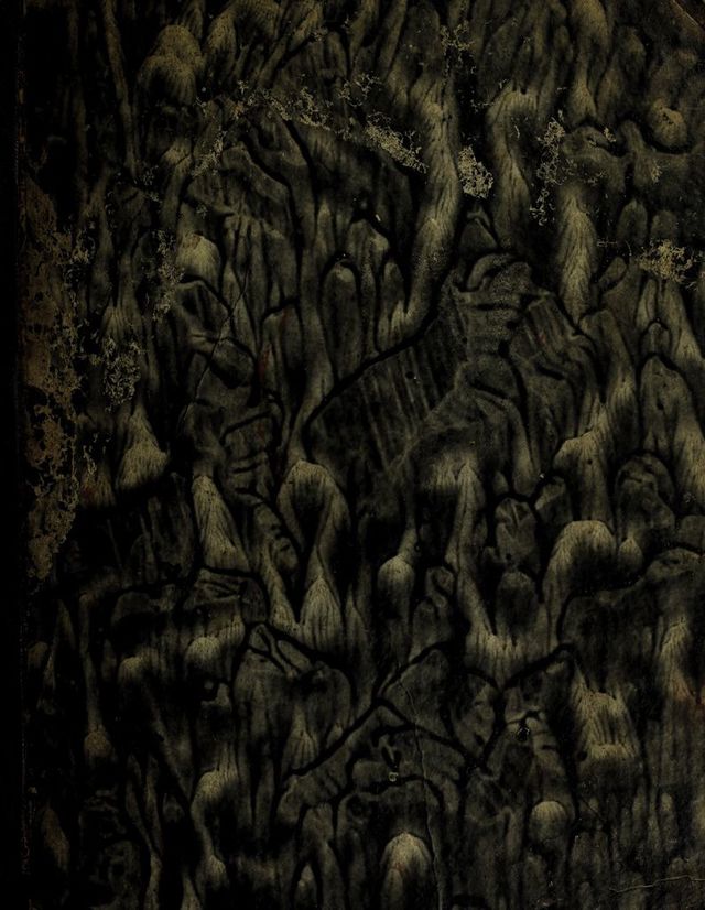 No text description is available for this image