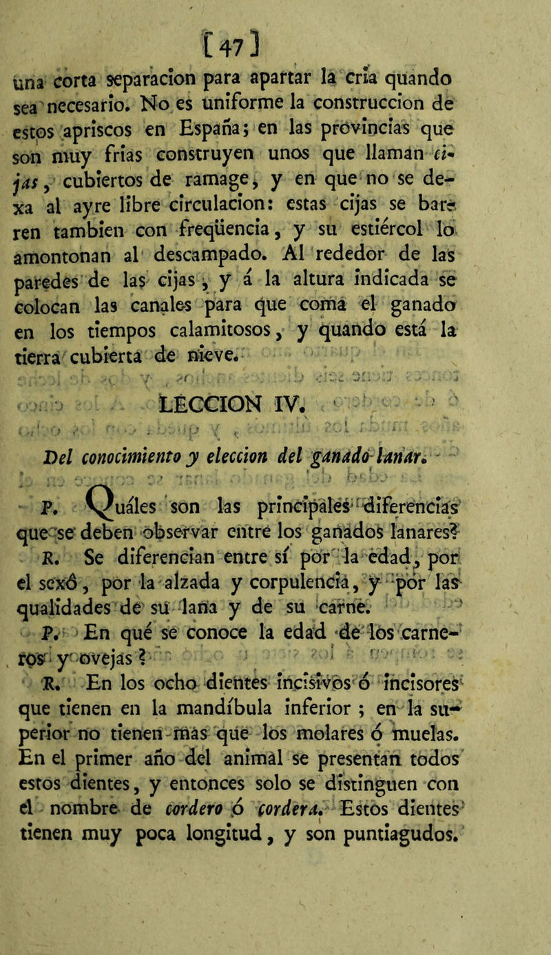 [473 una corta separación para apartar la cría quando sea necesario. No es unifórmela construcción de estos apriscos en España ; en las provincias que son muy Trias construyen unos que llaman ri- jasy cubiertos de ramage, y en que no se de- xa al ay re libre circulación: estas cijas se bar? ren también con freqüencia, y su estiércol lo amontonan al* descampado. Al rededor de las paredes de las cijas ^ y á la altura indicada se colocan las canales para que coma el ganado en los tiempos calamitosos, y quando está la tierra cubierta de nieve, LECCION IV. ' - Del conocimiento y elección del ganado-lanar* ' P. Quáles son las principales*‘diferenefe’ que 'se deben observar entré los ganados lanares? R. Se diferencian entre sí por'la edad^ por el SCXÔ, por la alzada y corpulenciá , y 'por las^ qualidades de sü lana y de su carne. - P. En qué se conoce la edad ‘dé-los carne- ros:. yoóvejás ? ' ’ ' ' R, En los ocho dientes incisivós'^^o ificisores^ que tienen en la mandíbula inferior ; em la su-' perior no tienen-más que los molares o muelas. En el primer año del animal se presentan todos estos dientes, y entonces solo se distinguen con el nombre de cordero p cordera. Estos dientes^ tienen muy poca longitud, y son puntiagudos.