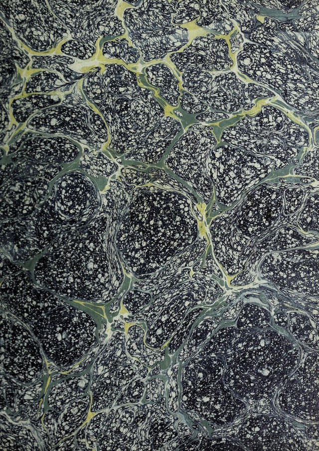 digitised image 3