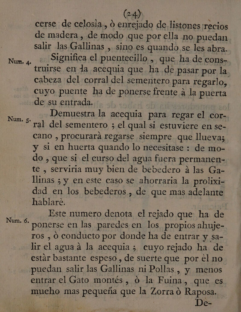 (2:4) Num. 4. Num. 5. de madera , de modo que por ella no. puedan salir las Gallinas , sino es quando se les abra. .. Significa el puentecillo , que ha de cons- truirse en la acequia que ha de pasar por la. cabeza del corral del sementero para regarlo, cuyo puente ha de ponerse frente á la puerta de su entrada. | | Demuestra la acequia para regar el cor- ral del sementero ; el qual si estuviere en se- cano , procurara regarse siempre que llueva; y si en huerta quando lo necesitase : de mo- do , que sí el curso del agua fuera permanen- te , serviria muy bien de bebedero a las Ga- dad en los bebederos , de que mas adelante Num. 6. Este numero denota el rejado que: ha de ponerse en las paredes en los propios ahuje- ros , o conducto por donde ha de entrar y sa- lir el agua a la acequia ; cuyo rejado ha de estar bastante espeso, de suerte que por el no entrar el Gato montés , o la Fuina, que es mucho mas pequeña que la Zorra 0 Raposa. De-
