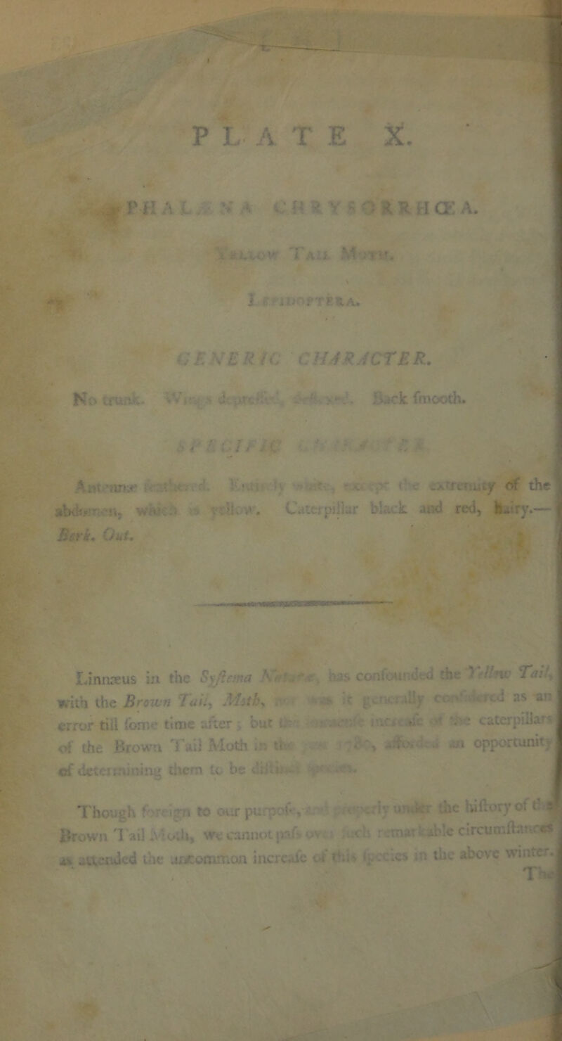 $ vn \ ( ■ ■■ -• rr -i a; a. i \ i V ] . . f-rEfcA. V£ £ IC CHARACTER. Ho tfun ,. • A it? i.iack fmooth. 5 nt nBJ>  eifrc'T:utjr Of the :4k;:. -»«, y. 1. .'. Caterpillar black and red, hairy.— Berk. Out. IJnnactis in the Sy-ie. a -1 » con; ucv .1 the Tat with the Brvwn 7i«7, Mstb. r Jasa - error till fome time after; but u - ' * caterpillar oi the Brown Tail Moth u ^ an opportunity cl' determining them tc be < ; Though f' I to < ,.r pu. :■ • w i*k; :hc Iviftoryof rf a Brown Tail Modi we cannot jk >*. ri; ... !c circumh. • & a> avutuled the .unommon inert vc ot < :tcs tire a.’ovc wi.ue .