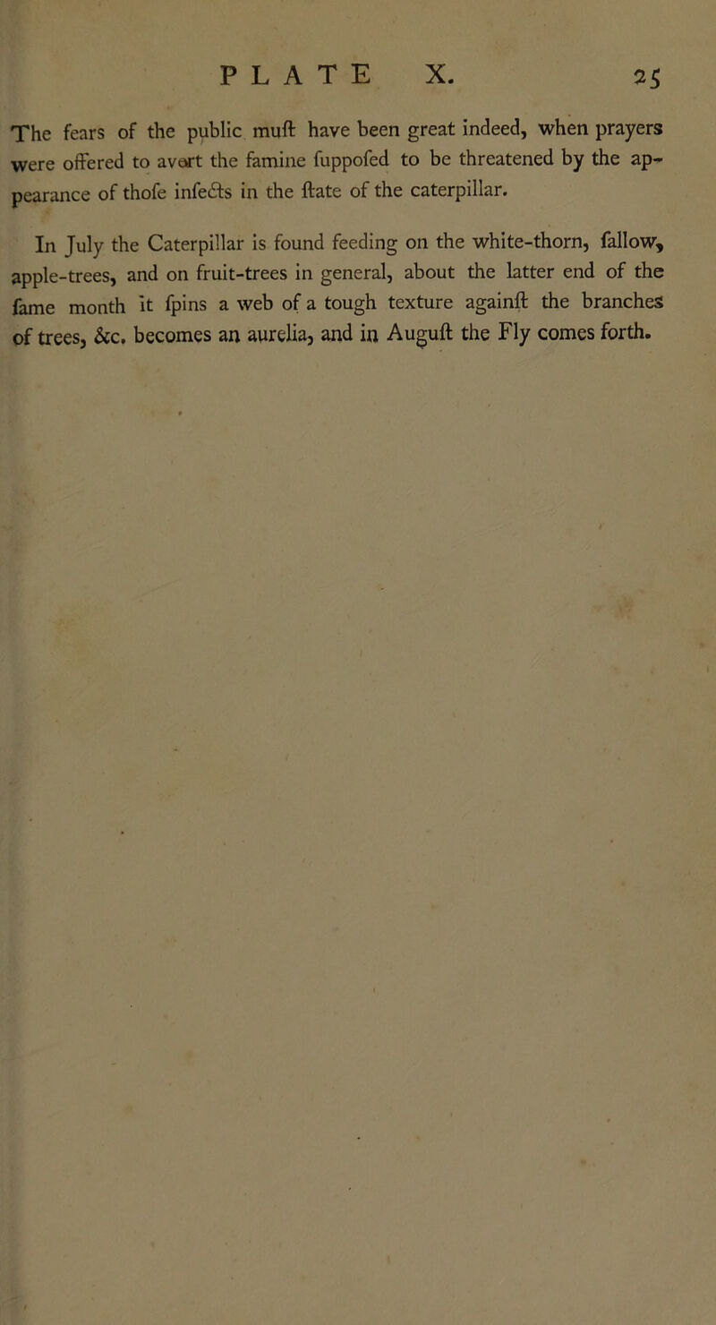 The fears of the public muft have been great indeed, when prayers were offered to avert the famine fuppofed to be threatened by the ap- pearance of thofe infeiSts in the ftate of the caterpillar. In July the Caterpillar is found feeding on the white-thorn, fallow, apple-trees, and on fruit-trees in general, about the latter end of the fame month it fpins a web of a tough texture againft the branches of trees, &c. becomes an aurelia, and in Auguft the Fly comes forth.