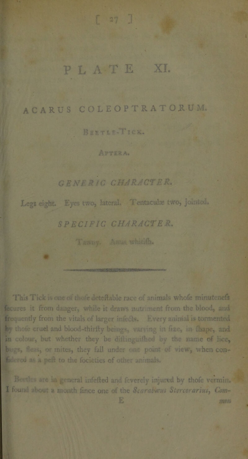 » \ PLAT E XI. , ACARUS COLEOPTRATOJRUM. , \ r !M IC K. After a. . GENi ft t G CHAR ACTE R. Legs eight. Eyes two, lateral. Tetitac trice two, joiiuco. SPECIFIC CHARACTER. . 'V i.Vityt. ‘ • »•>. whitt&u This Tick is one c, ;:ir deteftable race o animals whole roinuteneft f. cures it from danger, while it draws nut meat from the blood, and frequently from the vitals of larger infects. Every animal is torment--.. jjfey ' uel and blood-thirftv being' ; :n; \ ft. .»• fhape, and iin i but w'r.t ther they be ■ . e of jicc, |fr •. or mites, they fall and : i ■ - view, when con- K*- •• d a 4 !‘dt to the focicties of oth» ... mak R' »rc in general infefted and fevereiy injured by thofe vermin. I *VJ ■ - ■ ■ Jince on. the 6\ -aba:: Since• arius, Cm- E men