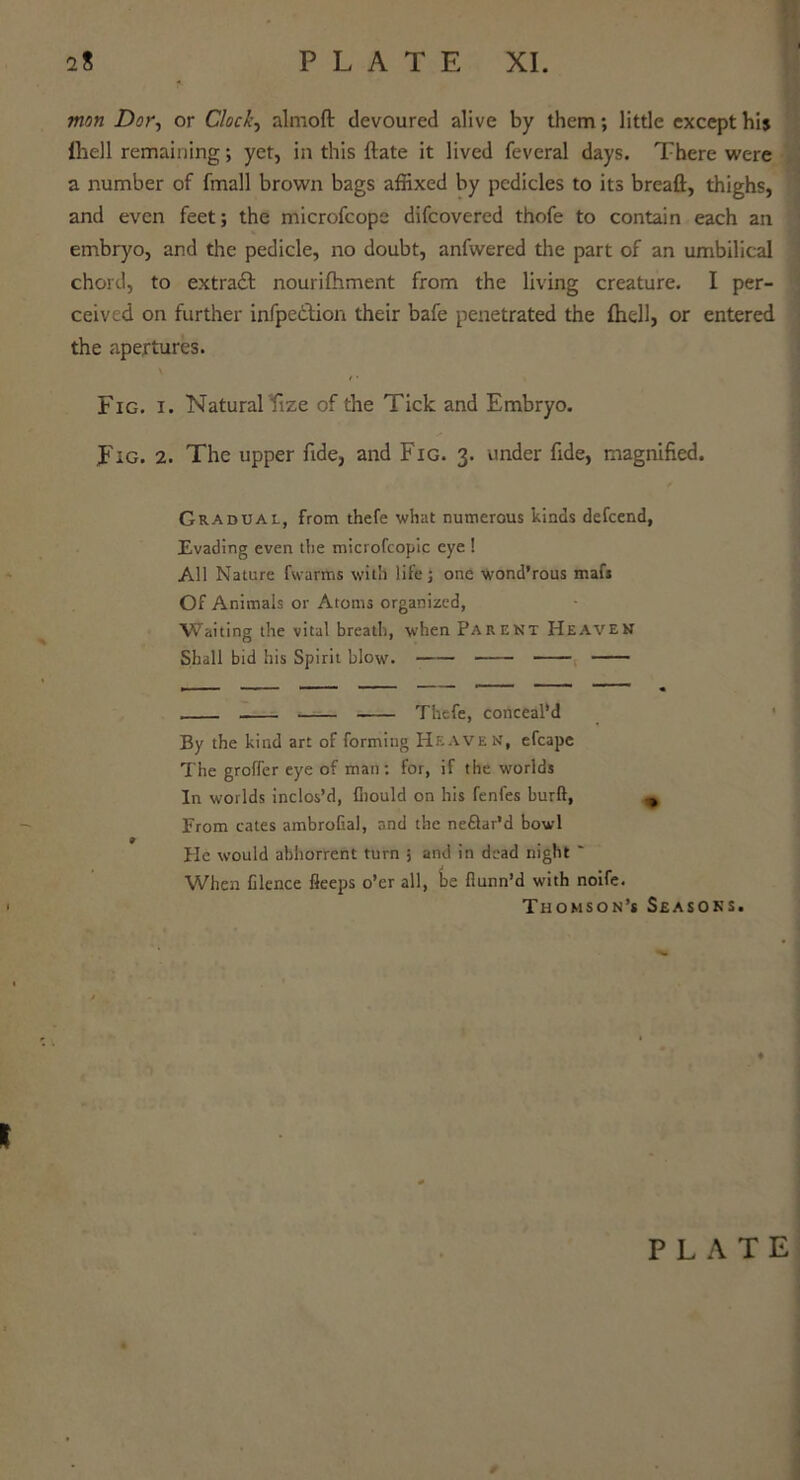 mon Dor, or Clocks almoft devoured alive by them; little except hi$ lliell remaining; yet, in this ftate it lived feveral days. There were a number of fmall brown bags affixed by pedicles to its breaft, thighs, and even feet; the microfcope difcovered thofe to contain each an embryo, and the pedicle, no doubt, anfwered the part of an umbilical chord, to extraft nourifhment from the living creature. I per- ceived on further infpe&ion their bafe penetrated the fhell, or entered the apertures. \ Fig. i. Natural ize of the Tick and Embryo. Fig. 2. The upper fide, and Fig. 3. under fide, magnified. Gradual, from thefe what numerous kinds defcend, Evading even the microfcopic eye ! All Nature fwarms with life; one Wond’rous mafs Of Animals or Atoms organized, Waiting the vital breath, when Parent Heaven Shall bid his Spirit blow. Thefe, conceal’d By the kind art of forming Heaven, efcapc The groffer eye of man : for, if the worlds In worlds inclos’d, Ibould on his fenfes burft, % From cates ambrofial, and the ne&ar’d bowl He would abhorrent turn ; and in dead night ' When filence Seeps o’er all, be fiunn’d with noife. Thomson’s Seasons. ♦ PLATE