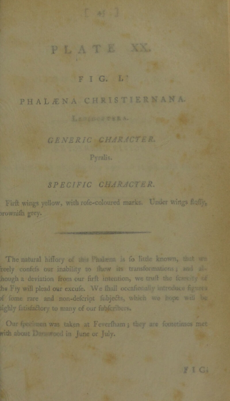 FIG. L V H A L JE N A C PI R I S T ' K R N' M >’ A ll ****» G £ £/C CHAR ACTE R. Pyralis. SPECIFIC CHAR AC 7 £ i?. Fii-ft wings yellow, with role-coloured marks, tinder wings fir/sy. jrownifll grey. The natural hiiToiy at •• Mui.v: To li .known., i. v reely contels our inability to 'hew its transform.vtioi ■, hough a deviation from our fir ft intention, we truft the L ■■■ :h« ; ly will plead our excufe. We fhM! occ&lio i.> f n: lome rare and non-deferiot fubjecH. \vb- r; -o ■ opt. wiU Ij> k highly fatisfactory to many of our fubi.. xvs. Our f,- non was taken at Feverfltatn} they ,vt fomeumes met