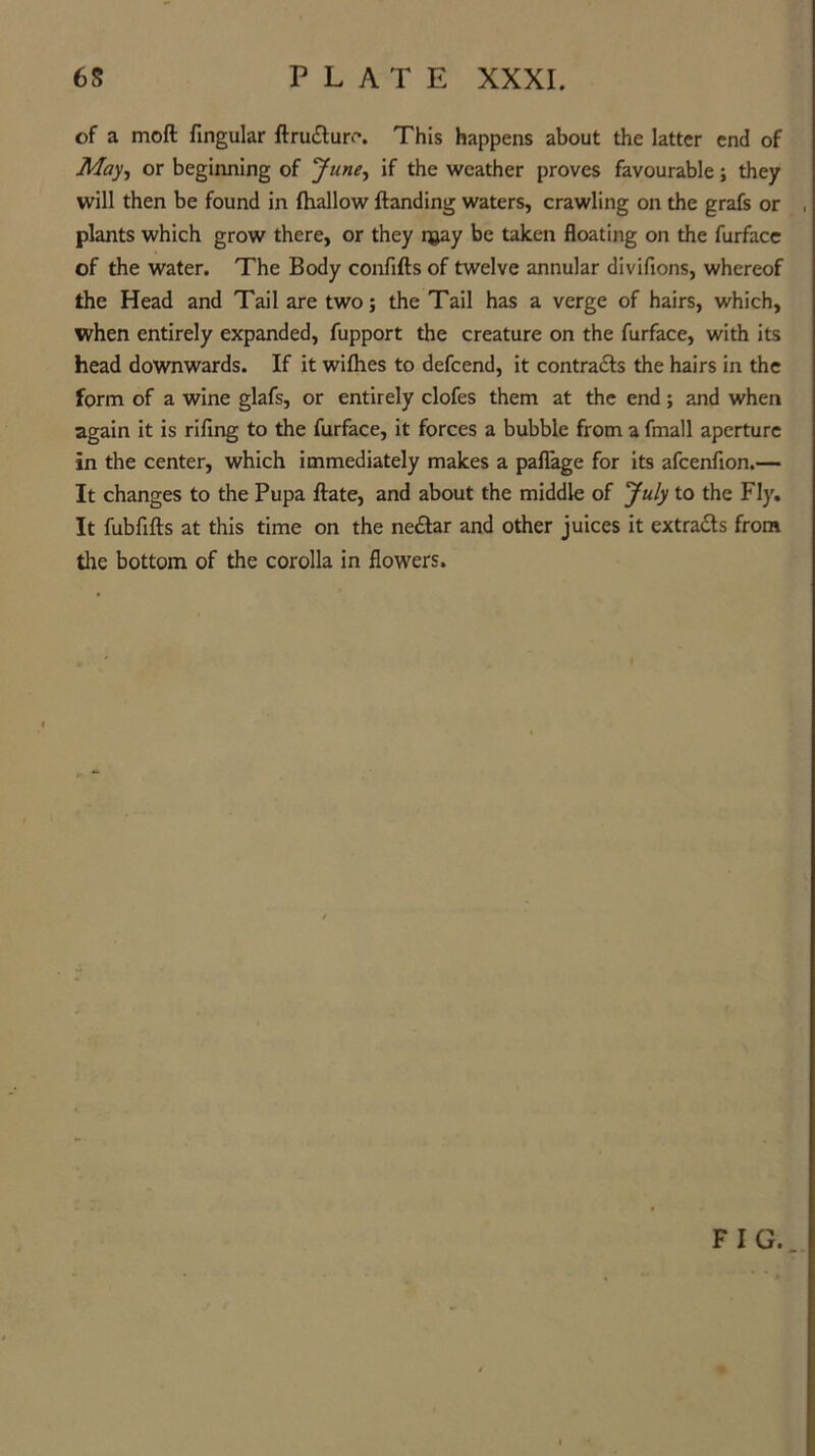 of a moft fingular (lru£ture. This happens about the latter end of May, or beginning of June, if the weather proves favourable; they will then be found in (hallow (landing waters, crawling on the grafs or , plants which grow there, or they may be taken floating on the furfacc of the water. The Body confifts of twelve annular divifions, whereof the Head and Tail are two; the Tail has a verge of hairs, which, when entirely expanded, fupport the creature on the furface, with its head downwards. If it wilhes to defeend, it contradls the hairs in the form of a wine glafs, or entirely clofes them at the end; and when again it is riling to the furface, it forces a bubble from a fmall aperture in the center, which immediately makes a paflage for its afcenfion.— It changes to the Pupa (late, and about the middle of July to the Fly. It fublifts at this time on the ne£tar and other juices it extracts from tlie bottom of the corolla in flowers.