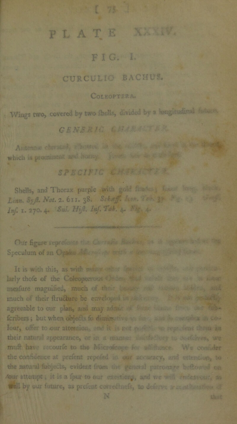FIG. I. CURCUI : BACHUJ. Cot Y. OPT SR A. Wings two, covered by two ib-Us, i.uvuk- bv * ■- C£NJ?  Which .A pso:f«m:,. **’ * ■ 5?;. c// ¥C C>: ' ' . Shcl's, and Thorax purple w. .h fi Xxa; , SyJi.Nat.2. 611. 38. i* Inf x. 270.4. 5a/. Hi/?. /«/. ‘JV. ' O :'r figure > : ' «• • fc Speculum of an Oeafew.04 It is with this, a$ with '•/• ©kopec- v' • :r fare maguiii J, much ; >••• larlv thole of the Coleoptcr m- much teir ftructir be er.vc agreeable to our ;.*Ian, ami me. • fcribers; but when obie ;> di. ..ur*. lour, to our attet ikwv, it , >»• - i n their na.tr.rv: appearance, c~ tp. a it m • - ... > . . ac muft hav . x.ourfc to the M • • , tan '»V c< •• .der ■ the natural (objects, evident from ,-cnvr;,-! patrona?.-* ■ nt . m by wur i iture, as pre/.nt cc.•>..•. . to dc. • * N tt-ic