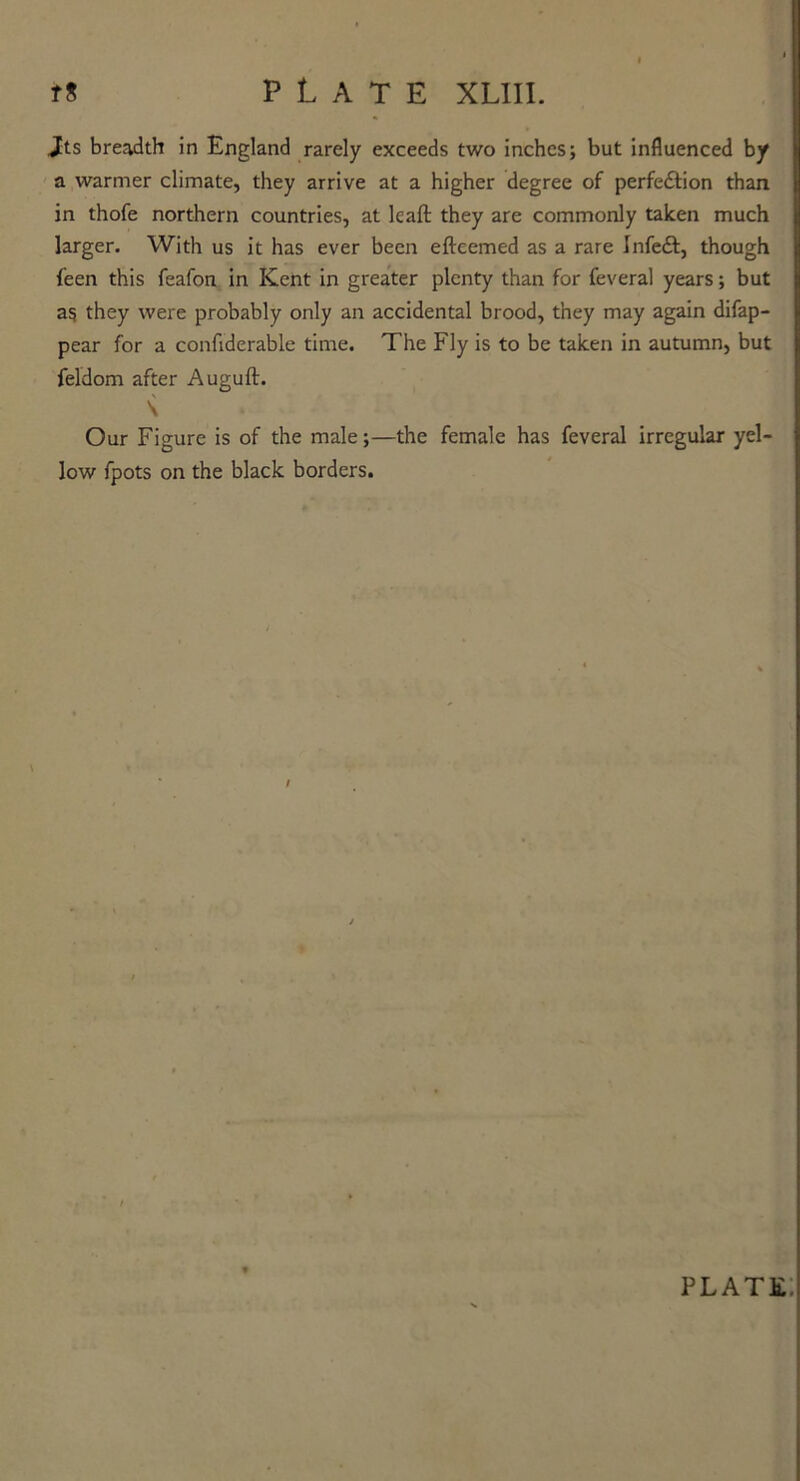 Jts breadth in England rarely exceeds two inches; but influenced by a warmer climate, they arrive at a higher degree of perfe&ion than in thofe northern countries, at lead: they are commonly taken much larger. With us it has ever been efteemed as a rare Infeft, though feen this feafon in Kent in greater plenty than for feveral years; but as they were probably only an accidental brood, they may again difap- pear for a confiderable time. The Fly is to be taken in autumn, but feldom after Auguft. Our Figure is of the male;—the female has feveral irregular yel- low fpots on the black borders.