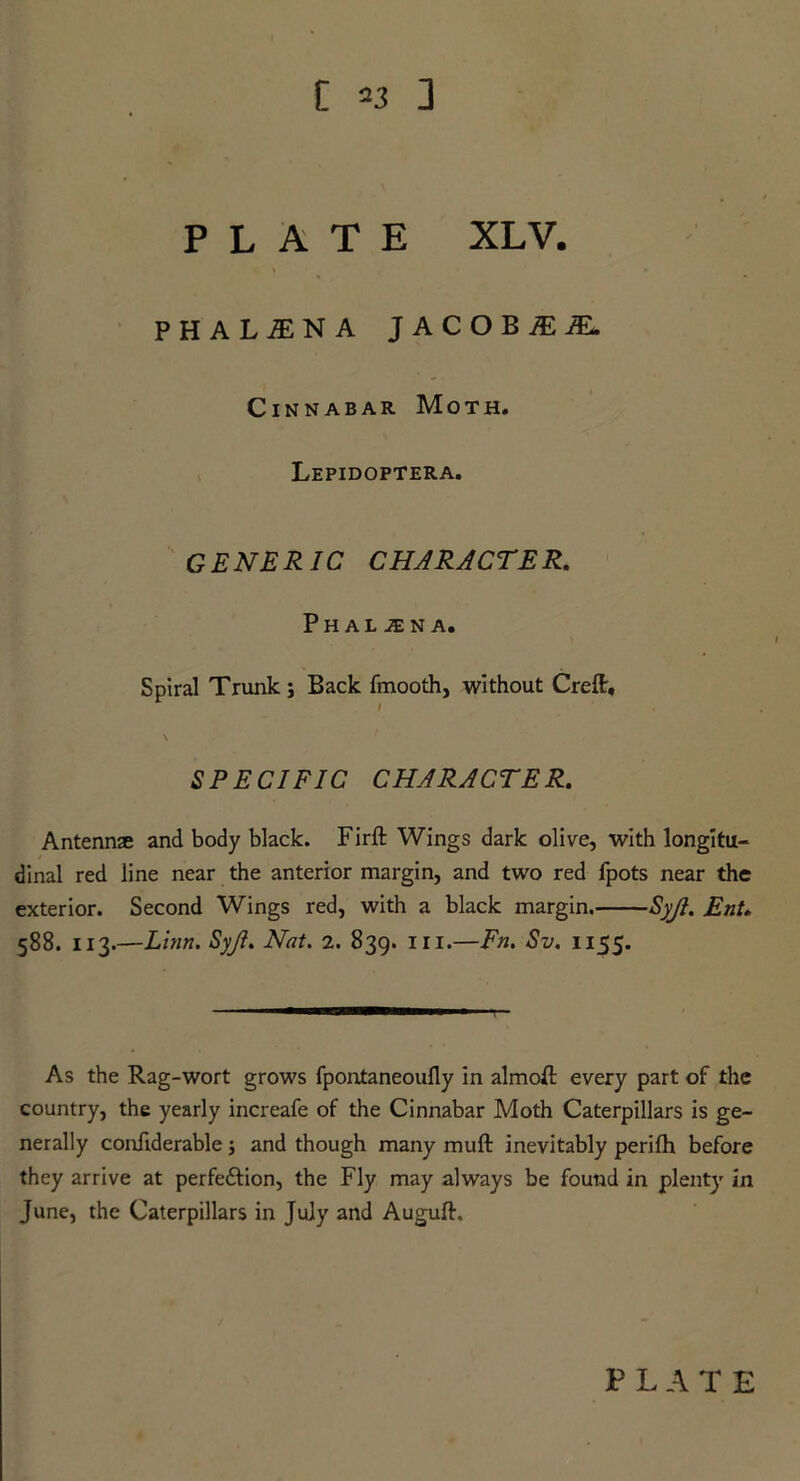 PLATE XLV. PHAL^NA J A C O B iE iE. Cinnabar Moth. Lepidoptera. GENERIC CHARACTER. Phal^na. Spiral Trunk; Back fmooth, without Crefl:, SPECIFIC CHARACTER. Antennae and body black. Firft Wings dark olive, with longitu- dinal red line near the anterior margin, and two red fpots near the exterior. Second Wings red, with a black margin. Syjl. Ent. 588. 113.—Linn. Syjl. Nat. 2. 839. hi.—Fn. Sv. 1155. As the Rag-wort grows fpontaneoufly in almoft every part of the country, the yearly increafe of the Cinnabar Moth Caterpillars is ge- nerally confiderable; and though many muft inevitably perifh before they arrive at perfettion, the Fly may always be found in plenty in June, the Caterpillars in July and Augufh
