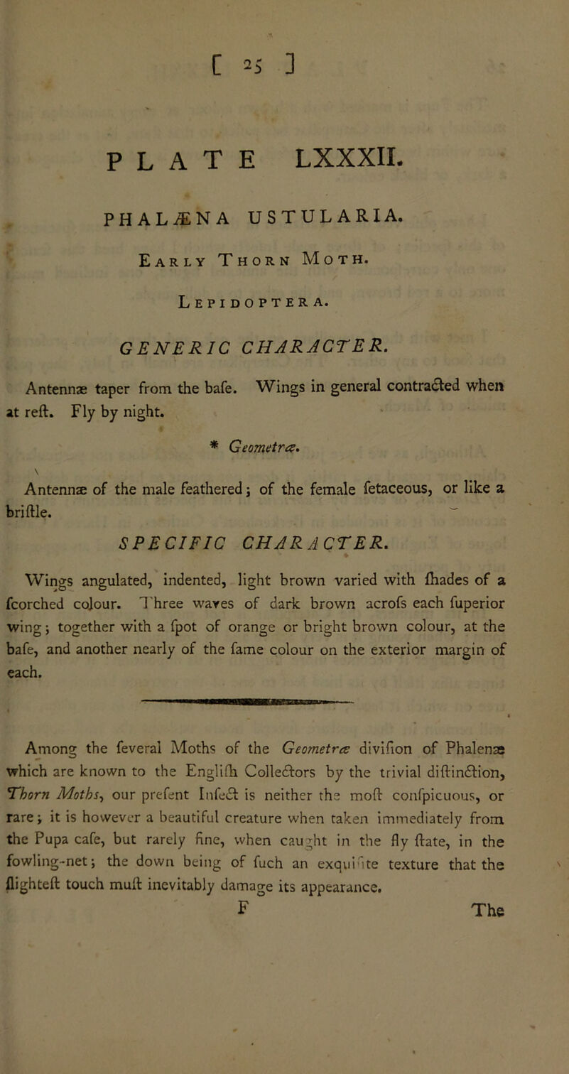 PLATE LXXXII. PHALfiNA USTULARXA. Early Thorn Moth. Lepidoptera. GENERIC CHARACTER. Antennas taper from the bafe. Wings in general contracted when at reft. Fly by night. * Geometra. Antennae of the male feathered; of the female fetaceous, or like a briftle. SPECIFIC CHARACTER. ¥ Wings angulated, indented, light brown varied with (hades of a fcorched colour. Three waves of dark brown acrofs each fuperior wing; together with a fpot of orange or bright brown colour, at the bafe, and another nearly of the fame colour on the exterior margin of each. Among the feverai Moths of the Geometry division of Phalenae which are known to the Englifh Collectors by the trivial diftinCtion, Thorn Moths, our prefent InfeCf is neither the mod confpicuous, or rare; it is however a beautiful creature when taken immediately from the Pupa cafe, but rarely fine, when caught in the fly date, in the fowling-net; the down being of fuch an exquinte texture that the flighted touch mud inevitably damage its appearance. F ° The