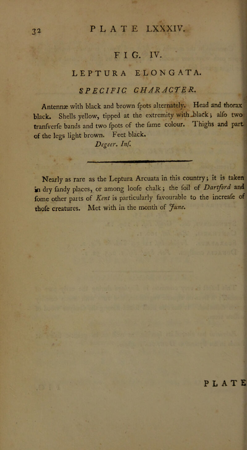 F I G. IV. LEPTURA ELONGATA. SPECIFIC CHARACTER. ' ' * V* Antennre with black and brown fpots alternately. Head and thorax black. Shells yellow, tipped at the extremity with -black; alfo two tranfverfe bands and two fpots of the fame colour. T. highs and part of the legs light brown. Feet black. Degeer. Inf. Nearly as rare as the Leptura Arcuata in this country; it is taken ki dry fandy places, or among loofe chalk; the foil of Dartford and fome other parts of Kent is particularly favourable to the increafe of thofe creatures. Met with in the month of June. PLATE