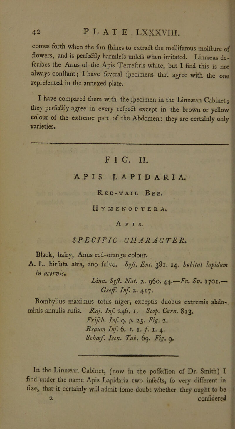 comes forth when the fun fhines to extract the melliferous moifture of flowers, and is perfectly harmlefs unlefs when irritated. Linnaeus de- fcribes the Anus of the Apis Terreftris white, but I find this is not always conftant; I have feveral fpecimens that agree with the one reprefented in the annexed plate. I have compared them with the fpecimen in the Linnaean Cabinet; they perfectly agree in every refpeft except in the brown or yellow colour of the extreme part of the Abdomen: they are certainly only varieties. F I G. II. APIS LAPIDARIA. Red-tail Bee. Hymenoptera. Apis. SPECIFIC CHARACTER. Black, hairy, Anus red-orange colour. A. L. hirfuta atra, ano fulvo. Syjl. Ent. 381. 14. habitat lapidum in acervis. Linn. Syjl. Nat. 2. 960. 44.—Fn. Sv. 1701.— Geoff. Inf. 2. 417. Bombylius maximus totus niger, exceptis duobus extremis abdo- minis annulis rufis. Raj. Inf. 246. r. Scop. Cam. 813. Frifch. Inf. 9. p. 25. Fig. 2. Reautn Inf. 6. t. I. f. 1.4. Schaff. Icon. Tab. 69. Fig. 9. In the Linnaean Cabinet, (now in the pofleflion of Dr. Smith) I find under the name Apis Lapidaria two infedfs, fo very different in fize, that it certainly will admit fome doubt whether they ought to be 2 confiderei