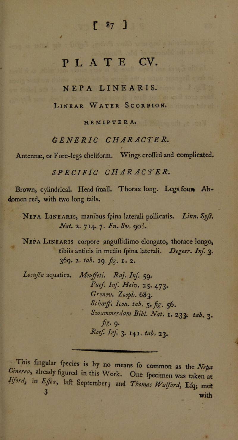 r «7 ] 4 \ PLATE CV. NEPA LINEARIS. Linear Water Scorpion. HEMIPTERA. GENERIC CHARACTER. Antennae, or Fore-legs cheliform. Wings crofled and complicated. SPECIFIC CHARACTER. Brown, cylindrical. Head fmall. Thorax long. Legs foua Ab- domen red, with two long tails. Nepa Linearis, manibus fpina laterali pollicatis. Linn. Syji. Nat. 2. 714. 7. Fn. Sv. 90?. FJepa Linearis corpore anguftifiimo elongato, thorace longo, tibiis anticis in medio fpina laterali. Degeer. Inf. 3. 369. 2. tab. iq.fig. I. 2. Locujia aquatica. Mouffeti. Raj. Inf. 59. Fuef Inf. Helv. 25. 473. Grotiov. Zooph. 683. Schoejf. Icon. tab. 5.fig. 56. Swammerdam Bibl. Nat. 1. 233. tab. 3. h- 9- Roef Inf. 3. 141. fab. 23. This fingular fpecies is by no means fo common as the Nepa C'nerea, already figured in this Work. One fpecimen was taken at Jord, in Ejjex, laft September j and Thomas Walford, Efq; met 3 with