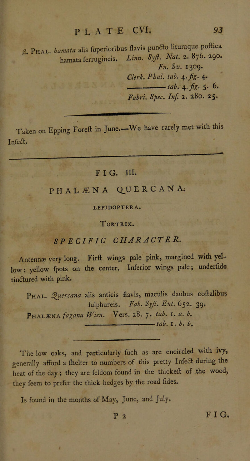 & Phal. bamata alls fupcrioribus flavis punao lituraque poftica hamata ferrugineis. Lim. Syjl. Nat. 2. 876. 290. Fn. Sv. 1309. Clerk. Phal. tab. 4. jig. 4. . tab. 4. fig. 5- 6* Fabri. Spec. Inf. 2. 280. 25* Taken on Epping Foreft in June—We have rarely met with this Infeft. FIG. III. PHAL jEN A Q,U E R C A N A; LEPIDOPTERA. Tortrix. SPECIFIC CHARACTER. Antennae very long. Firft wings pale pink, margined with yel- low: yellow fpots on the center. Inferior wings palej underfide tin&ured with pink. Phal. Sfuercana alis anticis flavis, maculis daubus coftalibus fulphureis. Fab. Syji. Ent. 652. 39. Phal^ena fagana Wien. Vers. 28. 7. tab. 1. a. b. ______ tab. I. b. b. The low oaks, and particularly fuch as are encircled with ivy, generally afford a fhelter to numbers of this pretty Infect during the heat of the day ; they are feldom found in the thickeft of .the wood, they feem to prefer the thick hedges by the road fides. Ts found in the months of May, June, and July. P 2 F I G.