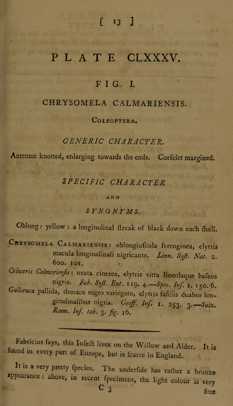 PLATE CLXXXV. FIG. I. CHRYSOMELA CALMARIENSIS. COLEOPTERA. GENERIC CHARACTER. Antenme knotted, enlai'ging towards the ends. Corfelet margined. SPECIFIC CHARACTER AND 0, S TNONTMS. Oblong: yellow : a longitudinal ftreak of black down each fliell. Chrysomela Calmariensis : oblongiufcula ferruginea, elytris macula longitudinali nigricante. Linn. Syji. Nat. 2. 600. 101. 1 Crioceris Calmarienfis: ovata cinerea, elytris vitta lineolaque bafeos niSriS- Fab‘ Syfl- Ent. 119. 4.—Spec. Inf. 1. 150. 6. Uallcruca pallida, thorace nigro variegato, elytris fafciis duabus Ion- gitudinalibus nigris. Geoff. Inf 1. 253. Z.—Su(z. Roem. Inf tab. 3. fig. 16. Fabrtctus fays, this Infea lives on the Willow and Alder. It is fottnd in every part of Europe, but is fcarce in England. It is a very pretty fpecies. The underfide has rather a bronze appearance t above, in recent fpecimens, the light colour is very