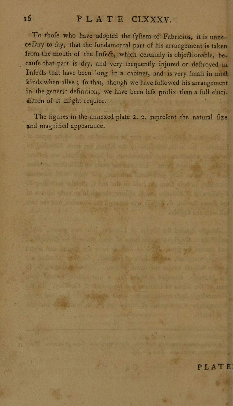 To thofe who have adopted the fyftem of Fabricius, it is unne- cedary to fay, that the fundamental part of his arrangement is taken from the mouth of the InfeCt, which certainly is objectionable, be- caufe that part is dry, and very frequently injured or deltroyed in InfeCts that have been long in a cabinet, and is very fmail in moft kinds when alive ; fo that, though we have followed his arrangement in the generic definition, we have been lefs prolix than a full eluci- dation of it might require. The figures in the annexed plate 2. 2. reprefent the natural fize and magnified appearance. iili 1.