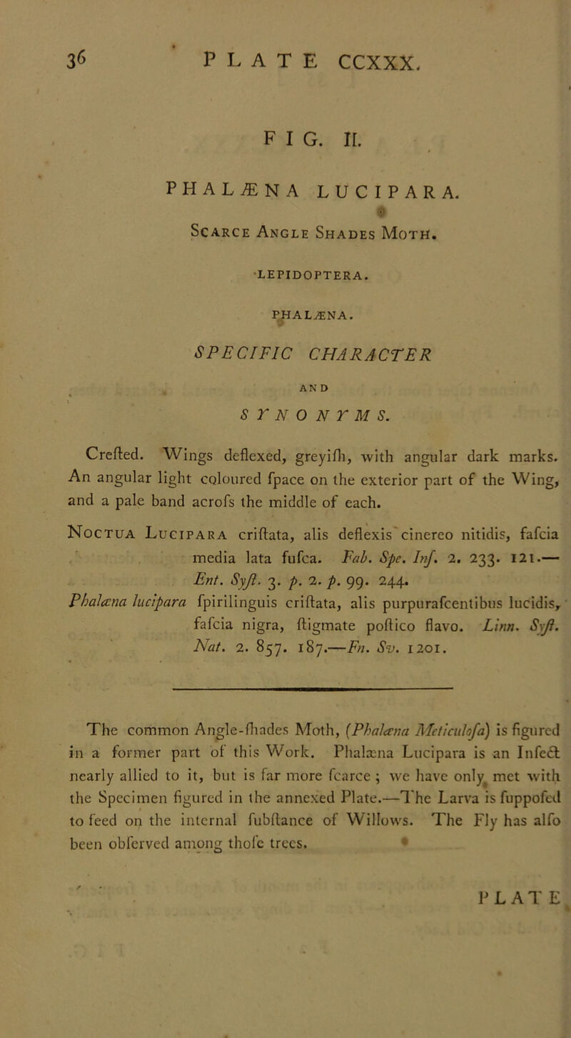 F I G. II. PHALiTNA LUCIPARA. r* Scarce Angle Shades Moth. LEPIDOPTERA. PHAL2ENA. 0 SPECIFIC CHARACTER AND s r n o n r m s. Crefted. Wings deflexed, greyifh, with angular dark marks. An angular light coloured fpace on the exterior part of the Wing, and a pale band acrofs the middle of each. Noctua Lucipara criftata, alis deflexis cinereo nitidis, fafcia media lata fufca. Fab. Spc. Inf. 2. 233. I2t.— Ent. Syjl. 3. p. 2. p. 99. 244. PhaJccna lucipara fpirilinguis criftata, alis purpurafcentibus lucidis, fafcia nigra, ftigmate poftico flavo. Linn. Sxft. Nat. 2. 857. 187.—Fa. Sv. 1201. The common Angle-fhades Moth, (Phalana Meticulofa) is figured in a former part ol this Work. Phalaena Lucipara is an Infedt nearly allied to it, but is far more fcarce ; we have only# met with the Specimen figured in the annexed Plate.—The Larva is fuppofed to feed on the internal fubftance of Willows. The Fly has alfo been obferved among thofe trees.