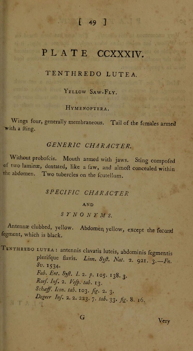 t 49 ] PLATE CCXXXIV. TENTHREDO LUTEA. Yellow Saw-Fly. Hymenoptera. Wings four, generally membraneous. Tail of the females armed with a fling. GENERIC CHARACTER. Without probofcis. Mouth armed with jaws. Sting compofed of two laminae, dentated, like a faw, and almofl concealed within the abdomen. Two tubercles on the fcutellum. SPECIFIC CHARACTER AND s r n o n r m s. Antennas clubbed, yellow. Abdomet, yellow, except the fecorri fegment, which is black. Tenthredo lutea : antennis clavatis luteis, abdominis fegmentis plerifque flavis. Linn. Syji. Nat. 2. 921. 3.—Rn Sv. 1534. Fab. Ent. Syfi. /. 2. p. 105. 138. 3. Roef Inf. 2. Vefp. tab. 13. Schaff. Icon. tab. 103. fig. 2. 3. Degeer Inf. 2. 2. 223. 7. tab. 33. fig. 8. 16. G Very