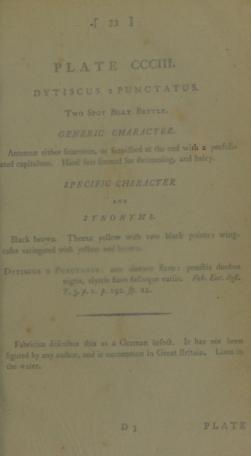 CCC11I. P L A T K D Y T I S C US a P ” M C T A 1 U S. Two Spot Boat Burnt. .C/.-/C CHARACTER. Antcnnx either . ! v:* »  - ated rapitui- . >!■ Ut ionnad for fwinorii and fcan /. SPECIFIC CHARACTER AX0 s r n o n r m S. Black brown Thorax yellow m-S v.v black ; calcs variegated with v-rte--. •; -rv 0YTiS.ua 2 r- T. *.* * P»«ais aaobttS . civtitJ dav*'» 5-.jfco^UC• VafU:;. >\ pjii. Ayjlt • P- 22- m Fabricius defetibes this us a German infe i. 1' has not ocen ■figured by any air.hor, an>l is uncommon in Great ! r in. u.-. the water.