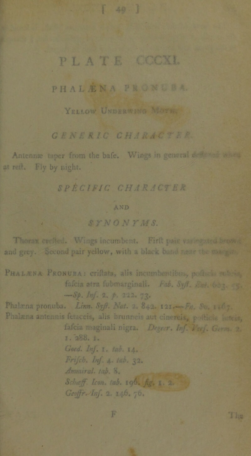 I ] P L A T F. CCCXL p h a l i; N a :*! YeJLJ-OW Um.U £ :«• '*■ : ■ V} '•? t, G i N . R I a CU.Ui A C '■ Antenna; = per from the bafe. Wings n general t J • at reft. Fly by night. SP&C IFIC OH A R A C1 S k AND s r n o n r ms. Thor.-'A- ci-'.' ... Wings incumbent. Fifft t he •> • '-e-v. •: ^ and grey. Second pair yellow, with a black b.-v? - ? r Phalaisa Promusai criftata, alb incm; ben ; , p fafeia atra fubmarginali. Fab. Sift. ■ • . • — —Sp. Inf 2. f. 222. 73. Phatena pronuba. Linn. Syf. Nut. . 842. 12s*—Fa. ' . »<•''; Phalxna antennis ftuceis, alis brunneis aut cineifek* | :M-. *<->, fafeia n: jg'mali nigra. Degger. I. r , « r. a88. 1. Goed. Inf. 1. .. 14. Frijcb. Inf. 4. tsb. 32. jfmtniral. tub, S. . Schaff Icon, tab. 196. fig. 1. 2. * Gcoffr. Inf 2. x ;.6. 76. F Titfr