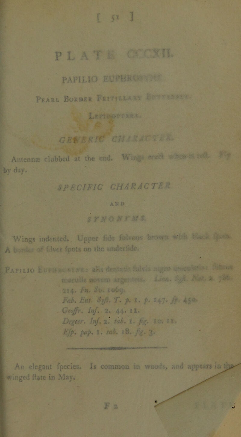 p l \ r o v n PAPILIO Et;  Pearl. Border Fh h i Lrnrs a ? GH'BItr# CM f Antenna; dubbed at the end. ^ ; -~j- bv day. i p f CIFIC CHA R A C Tl ' ak a $ r a* o h r a $ ■ A . -v rIvcr Coots on the wider'do.- i£i* >. ; Papilio t : a- . • ■ 214. Fn. Si’, leby. Aai. £»/. <Sv/>. /a i. p. 2 ,; ;. - 4' ■ . Geoffir. inf. 1. 44, it. / ffp: pop. I. tab. -8. /v. •>-.