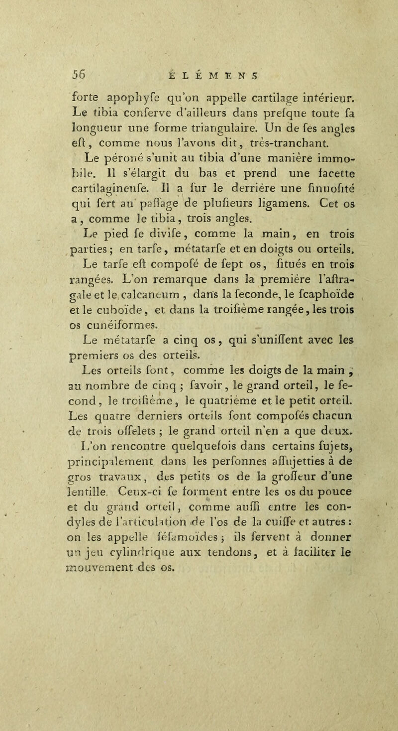 forte apophyfe qu’on appelle cartilage intérieur. Le tibia conferve d’ailleurs dans prefque toute fa longueur une forme triangulaire. Un de fes angles eft, comme nous l’avons dit, très-tranchant. Le péroné s’unit au tibia d’une manière immo- bile. 11 s’élargit du bas et prend une facette cartilagineufe. Il a fur le derrière une finuofité qui fert au partage de plufieurs ligamens. Cet os a, comme le tibia, trois angles. Le pied fe divife, comme la main, en trois parties; en tarfe, métatarfe et en doigts ou orteils. Le tarfe eft compofé de fept os, fitués en trois rangées. L’on remarque dans la première l’aftra- gale et le calcanéum , dans la fécondé, le fcaphoïde et le cuboïde, et dans la troifième rangée, les trois os cunéiformes. Le métatarfe a cinq os, qui s’uniiïent avec les premiers os des orteils. Les orteils font, comme les doigts de la main , au nombre de cinq ; favoîr, le grand orteil, le fé- cond, le trcilïème, le quatrième et le petit orteil. Les quatre derniers orteils font compofés chacun de trois oflelets ; le grand orteil n'en a que dt ux. L’on rencontre quelquefois dans certains fujets, principalement dans les perfonnes aflïijetties à de gros travaux, des petits os de la groiïeur d’une lentille Ceux-ci fe forment entre les os du pouce et du grand orteil, comme auiïi entre les con- dyles de l’articulation de l’os de la cuifte et autres : on les appedle fé fa moi des ; ils fervent à donner un jeu cylindrique aux tendons, et à faciliter le mouvement des os.