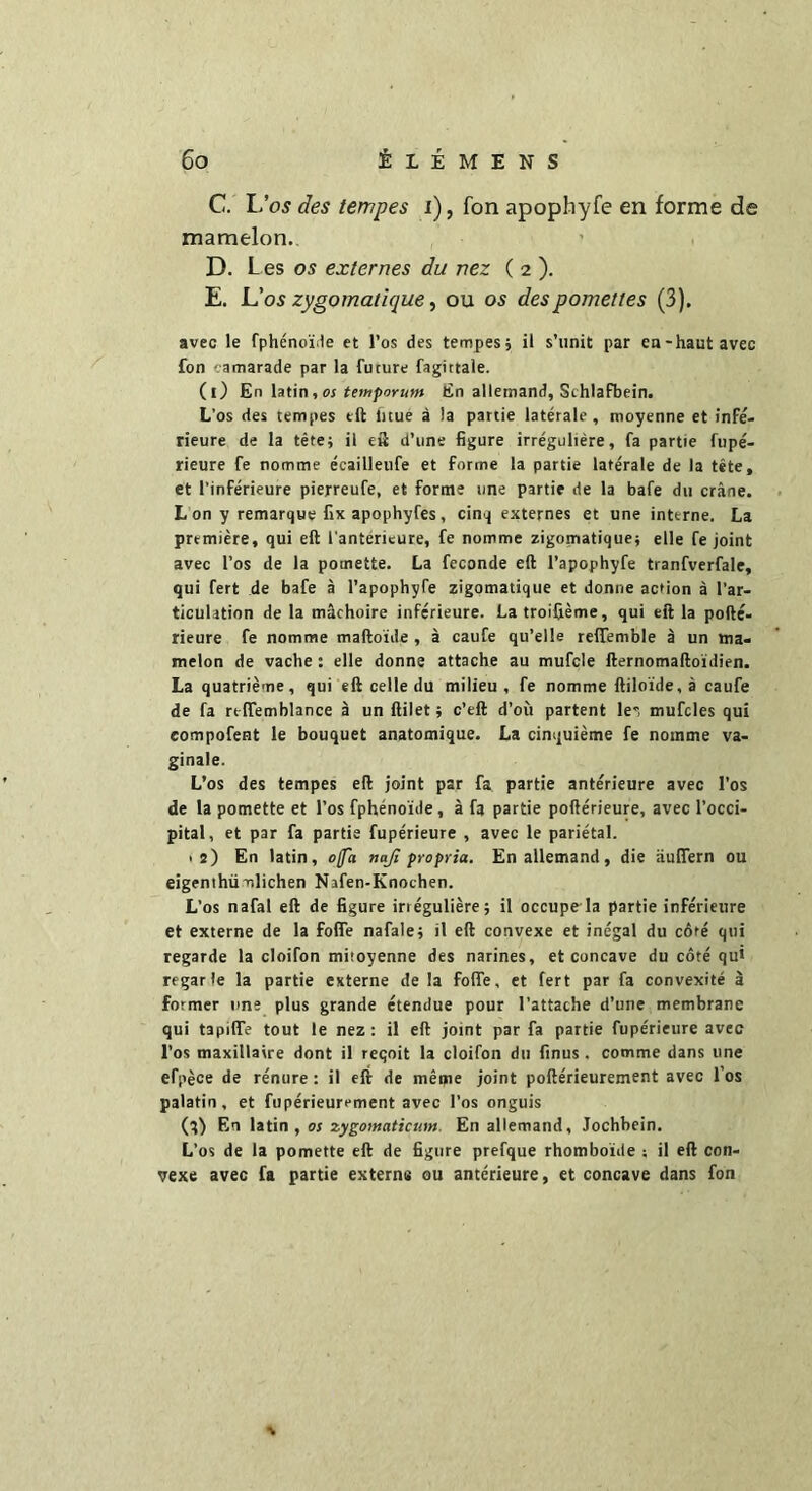 C. L’os des tempes i), fon apophyfe en forme de mamelon. D. Les os externes du nez ( 2 ). E. L’os zygomatique, ou os desp omette s (3). avec le fphénoïde et l’os des tempes ; il s’unit par en-haut avec fon camarade par la future fagittale. (l) En latin« or tetuporum En allemand, Sihlafbein. L’os des tempes eft fnué à la partie latérale, moyenne et infé- rieure de la tête; il eft d’une figure irrégulière, fa partie fupé- rieure fe nomme écailleufe et forme la partie latérale de la tête, et l'inférieure pierreufe, et forme une partie de la bafe du crâne. L on y remarque fix apophyfes, cinq externes et une interne. La première, qui eft l'antérieure, fe nomme zigomatique; elle fe joint avec l’os de la pomette. La fécondé eft l’apophyfe tranfverfale, qui fert de bafe à l’apophyfe zigomatique et donne action à l’ar- ticulation de la mâchoire inférieure. La troifième, qui eft la pofté- rieure fe nomme maftoïde , à caufe qu’elle refifemble à un ma- melon de vache : elle donne attache au mufcle fternomaftoidien. La quatrième, qui eft celle du milieu , fe nomme ftiloïde, à caufe de fa rtffemhlance à un {filet ; c’eft d’où partent le, mufcles qui eompofent le bouquet anatomique. La cinquième fe nomme va- ginale. L’os des tempes eft joint par fa partie antérieure avec l’os de la pomette et l’os fphénoïde, à fa partie poftérieure, avec l’occi- pital, et par fa partie fupérieure , avec le pariétal. >2) En latin, ofa naß propria. En allemand, die äußern ou eigentümlichen Nafen-Knochen. L’os nafal eft de figure irrégulière; il occupe la partie inférieure et externe de la fofle nafale; il eft convexe et inégal du côté qui regarde la cloifon mitoyenne des narines, et concave du côté qui regarle la partie externe de la foffe, et fert par fa convexité à former une plus grande étendue pour l’attache d’une membrane qui tapiffe tout le nez: il eft joint par fa partie fupérieure avec l’os maxillaire dont il reçoit la cloifon du finus. comme dans une efpèce de rénure : il eft de même joint poftérieurement avec l’os palatin, et fupérieurement avec l’os onguis (q) En latin, os zygomaticum. En allemand, Jochbein. L’os de la pomette eft de figure prefque rhomboïde ; il eft con- vexe avec fa partie externe ou antérieure, et concave dans fon