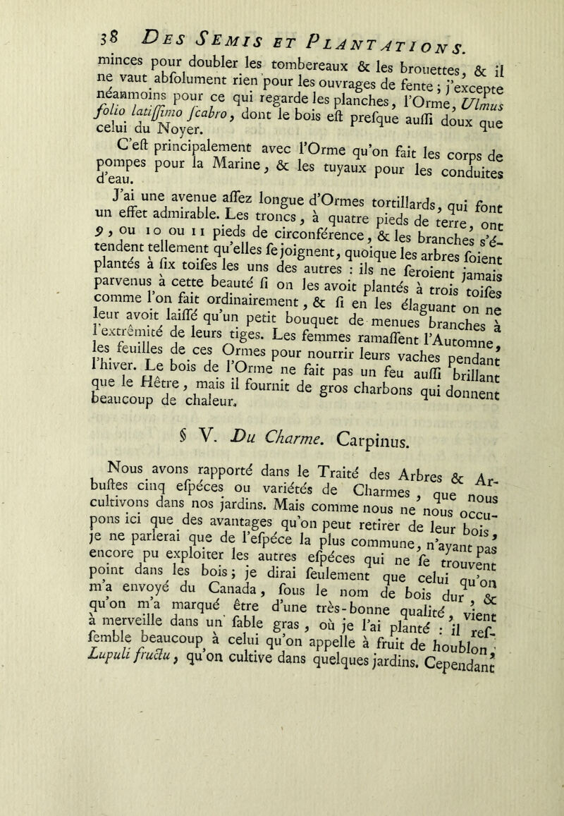 minces pour doubIer_les tombereaux & les brouettes, & il ne vaut abfolument rien pour les ouvrages de fente ; iexcente ndanmoins pour ce qui regarde les planches, l’Orme, Æ {eti ^ C’en principalement avec l’Orme qu’on fait les corns H,, pompes pour la Marine, & les tuyaux pour les conddtes J ai une avenue affez longue d’Ormes tortillards, qui font un effet admirable. Les troncs, à quatre pieds de terre ont P , ou 10 ou 11 pieds de circonférence, & les branches s’é tendent tellement qu elles fe joignent, quoique les arbres foient plantés a lîx toifes les uns des autres : ils ne feroient jamais parvenus a cette beauté Ci on les avoit plantés à trois toifes comme I on fait ordinairement, & fi en les élaguant on ne leur avoit laiffé qu un petit bouquet de menues^branches à extiemité de leurs tiges. Les femmes ramaffent l’Automne pu; nourrir leurs vaches pendant hiver. Le bois de 1 Orme ne fait pas un feu aufii brillant bL'ucou^'de ch^èu^ § V. Du Charme. Carpinus. Nous avons rapportd dans le Traité des Arbres & Ar buftes cinq efpeces ou variétés de Charmes , que nnnl cultivons dans nos jardins. Mais comme nous ne nous ponsic. que des avantages qu’on peut retirer de leur boï' ,e ne panerai que de lefpéce la plus commune, n’ayant nas encore pu explouet les autres efpéces qui ne fe tLuvCt point dans les bois; je dirai feulement que celui Z’I ma envoyé du Canada, fous le nom de bois dur V quon ma marqué être d’une très-bonne qualité, viem a merveille dans un fable gras , où je l’ai pllnté ; il ™? femble beaucoup_ a celui qu’on appelle à fruit de houblon Lupdi fiuSu, qu on cultive dans quelques jardins. Cependant