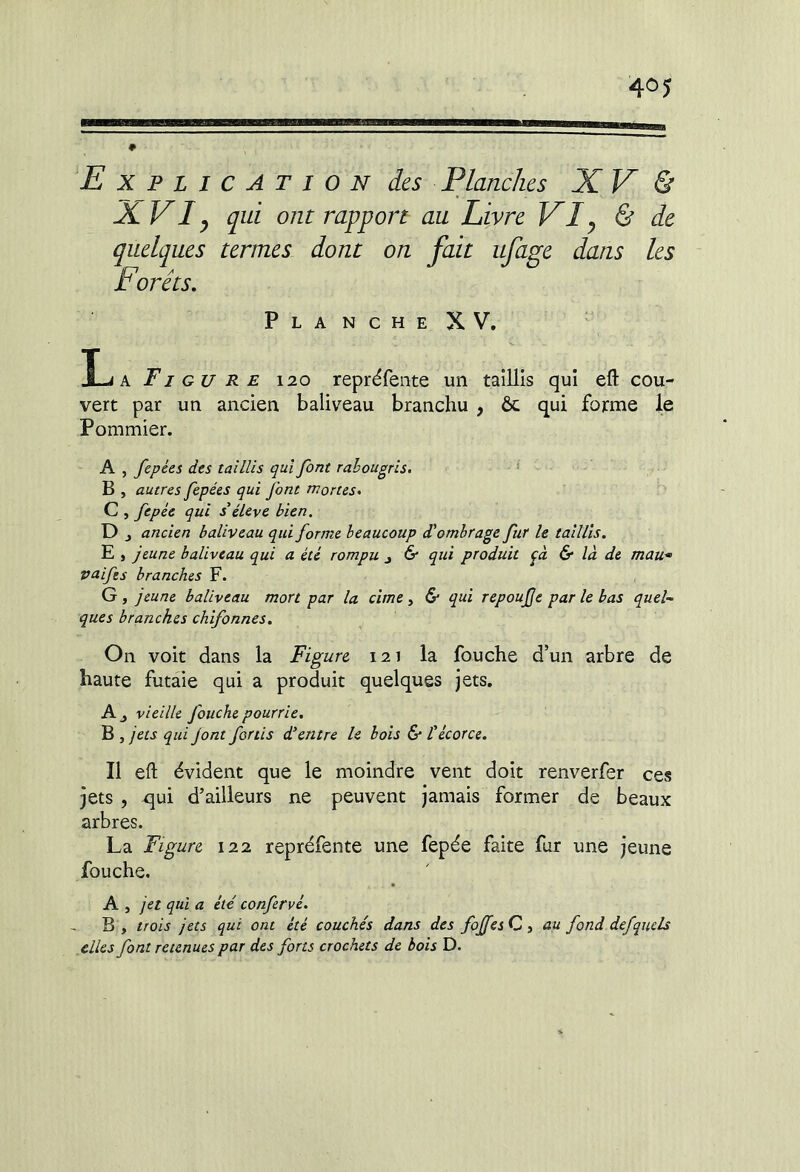XVIy qui ont rapport au Livre VIy & de quelques termes dont on fait ufage dans les Forêts. PlancheXV. ' I-^A Figure 120 repréfente un taillis qui efl: cou- vert par un ancien baliveau branchu , ôc qui forme le Pommier. A , fepées des taillis qui font rahougris. ’ B , autres fepées qui font mortes. C , fepée qui s éleve bien, ancien baliveau qui forme beaucoup d'ombrage fur le taillis. E , jeune baliveau qui a été rompu j & qui produit fà & là de mau* vnifes branches F. G , jeune baliveau mort par la cime, & qui repoujje par le bas quel- ques branches chifonnes. On voit dans la Figure 121 la fouche d’un arbre de haute futaie qui a produit quelques jets. A J vieille fouche pourrie. B J jets qui Jont fouis d'entre le bois & técorce. Il eft évident que le moindre vent doit renverfer ces jets, qui d’ailleurs ne peuvent jamais former de beaux arbres. La Figure 122 repréfente une fepée faite fur une jeune fouche. A , jet qui a été confervé. B , trois jets qui ont été couchés dans des fojfes Q ^ au fond defquels elles font retenues par des forts crochets de bois D.