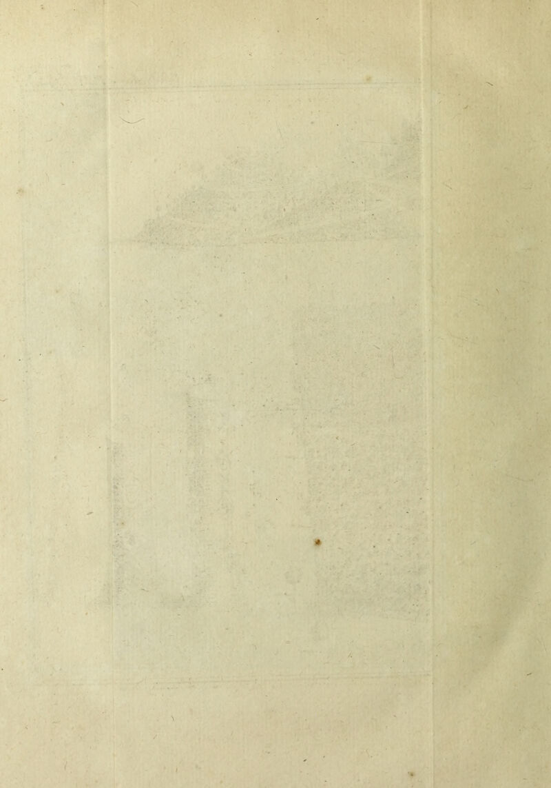 'Xt-r • N X . • : . K II * « 1 N t . I - ■