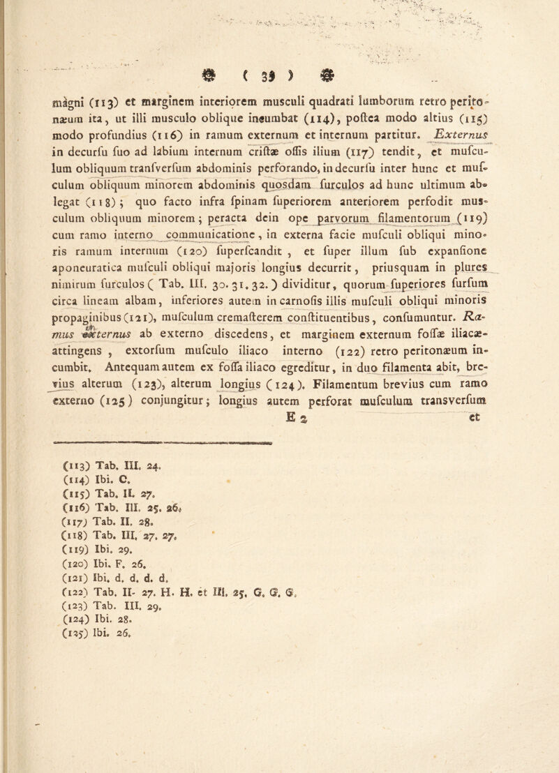 ' B C 31 ) magni (113) et marginem interiorem musculi quadrati lumborum retro perito- namm ita, ut illi musculo oblique Ineumbat (.114)5 poftea modo altius (115) modo profundius (116) in ramum externum et internum partitur. Externus in decurfu fuo ad labium internum crifte offis ilium (117) tendit, et 01 u i cu- lum obliquum tranfverfum abdominis perforando, in decurfu inter hunc et mut culum obliquum minorem abdominis quosdam furculos ad hunc ultimum ab® legat (118); quo facto infra fpinam fuperiorem anteriorem perfodit mus- culum obliquum minorem; peracta dcin ope ftarvorum filamentorum .(119) cum ramo interno communicatione, in externa facie mufculi obliqui mino* ris ramum intermini (120) fuperfcandit , et fuper illum fub expanfione aponeuratica mufculi obliqui majoris longius decurrit, priusquam in plures nimirum furculos ( Tab. III. 30.31*32.) dividitur, quorum fuperiores furtum circa lineam albam, inferiores autem incarnofis illis mufculi obliqui minoris propaginibus (121), mufculum cremafterem conftituentibus, confutuuntur. Ra- mus externus ab externo discedens, et marginem externum fotfae iliacas* attingens , extorfum mufculo iliaco interno (122) retro peritonaeum in- cumbit* Antequam autem ex foffa iliaco egreditur, in duo filamenta abit, bre- fiiis alterum (123), alterum longius (124). Filamentum brevius cum ramo externo (125) conjungitur; longius autem perforat mufculum transverfunt E % ~ et (113) Tab» III. 24, (114) Ibi. C. (115) Tab. II. 27. C116) Tab» III» 25. 26* (117; Tab. II. 2g0 (i 18) Tab. III. 27» 27, (119) Ibi. 29. (120) Ibi. F, 26. (121) Ibi. d. d. d. d. (122) Tab, II- 27, H. H. st III. 2f. G, Gr, 6, (123) Tab. III. 29. (124) Ibi. 28. (125) Ibi. 26. \