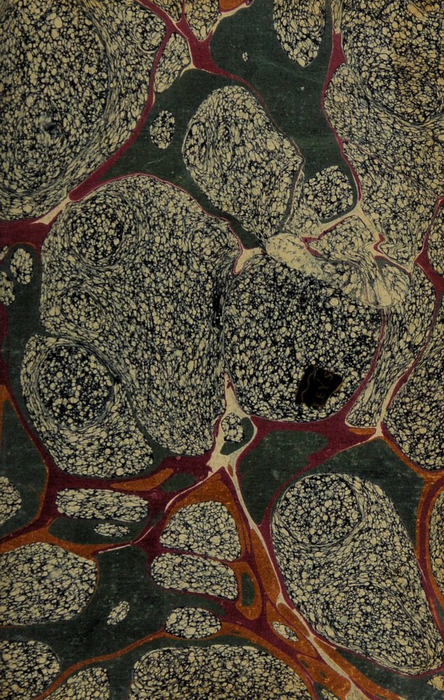digitised image 3