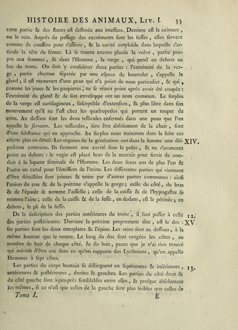 cette partie & des flancs eft deftinée aux inteflins. Derrière efl; la ceinture , ou le rein. Auprès du paflage des excréments font les felTes , elles fervent comme de couflins pour s’afleoir, & la cavité cotyloïde dans laquelle s’ar- ticule la tête du fémur. Là fe trouve encore placée la vulve , partie pro- pre aux femmes , & dans l’Homme , la verge , qui pend en dehors au bas du tronc. On doit y confldérer deux parties : l’extrémité de la ver- ge , partie charnue féparée par une efpece de bourrelet , s’appelle le gland ; il eft recouvert d’une peau qui n’a point de nom particulier , & qui ^ comme les joues & les paupières ^ ne fe réunit point après avoir été coupée; l’extrémité du gland & de fon enveloppe ont un nom commun. Le furplus de la verge eft cartilagineux , fufceptible d’extenfion, & plus libre dans fon mouvement qu’il ne l’eft chez les quadrupedes qui portent un toupet de crins. Au deflbus font les deux tefticules enfermés dans une peau que l’on appelle le fcrotum. Les tefticules , fans être abfolument de la chair , font d’une fubftance qui en approche. Au furplus nous traiterons dans la fuite ces objets plus en détail. Les organes de la génération ont dans la femme une dif- XIV. pofition contraire. Ils forment une cavité fous le pubis , & ne s’avancent point au dehors : le vagin eft placé hors de la matrice pour fervir de con- duit à la liqueur féminale de l’Homme. Les deux fexes ont de plus l’un 5c l’autre un canal pour l’émiflion de l’urine. Les différentes parties qui viennent d’être détaillées font jointes & unies par d’autres parties communes : ainfî l’union du cou & de la poitrine s’appelle la gorge ; celle du côté, du bras & de l’épaule fe nomme l’aiflelle ; celle de la culffe & de l’hypogaftre fe nomme l’aine ; celle de la cuiffe & de la feffe, en dedans, eft le périnée j en dehors, le pli de la feffe. De la defcrlption des parties antérieures du tronc , il.faut paffer à celle j2,' des parties poftérieures. Denlere la poitrine proprement dite , eft le dos : XV fes parties font les deux omoplates & l’épine. Les reins font au deffous, à la même hauteur que le ventre. Le long du dos font rangées les côtes , au nombre de huit de chaque côté. Je dis huit, parce que je n’ai rien trouvé qui méritât d’être cru dans ce qu’on rapporte des Lychniens , qu’on appelle Hommes à fept côtes. Les parties du corps humain fe diftlnguent en fupérleures & Inférieures , antérieures & poftérieures , droites & gauches. Les parties du côté droit & du côté gauche font à-peu-près femblables entre elles, & prefque abfolument les mêmes, fi ce n’eft que celles de la gauche font plus foibles que celles de Tome /, E 13-