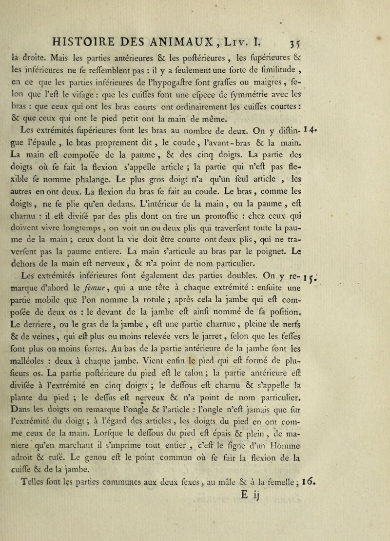 la droite. Mais les parties antérieures & les poftérieures, les fupérieures &c les inférieures ne fe reffemblent pas : il y a feulement une forte de fimilitude , en ce que les parties inférieures de l’hypogaftre font grades ou maigres , fé- lon que l’ed le vifage : que les cuilTes font une efpece de fymmétrie avec les bras : que ceux qui ont les bras courts ont ordinairement les cuilfes courtes ; & que ceux qui ont le pied petit ont la main de même. Les extrémités fupérieures font les bras au nombre de deux. On y diftin- 14* gue l’épaule , le bras proprement dit , le coude, l’avant-bras & la main. La main eft compofée de la paume , & des cinq doigts. La partie des doigts où fe fait la flexion s’appelle article ; la partie qui n’efl; pas fle- xible fe nomme phalange. Le plus gros doigt n’a qu’un feul article , les autres en ont deux. La flexion du bras fe fait au coude. Le bras, comme les doigts, ne fe plie qu’en dedans. L’intérieur de la main, ou la paume , eft charnu : il efl divifé par des plis dont on tire un pronoftic : chez ceux qui doivent vivre longtemps , on voit un ou deux plis qui traverfent toute la pau- me de la main ; ceux dont la vie doit être courte ont deux plis, qui ne tra- verfent pas la paume entière. La main s’articule au bras par le poignet. Le dehors de la main eft nerveux, & n’a point de nom particulier. Les extrémités inférieures font également des parties doubles. On y re- j marque d’abord le femur, qui a une tête à chaque extrémité : enfuite une partie mobile que l’on nomme la rotule ; après cela la jambe qui eft com- pofée de deux os : le devant de la jambe eft ainfl nommé de fa pofition. Le derrière, ou le gras de la jambe , eft une partie charnue, pleine de nerfs & de veines, qui eft plus ou moins relevée vers le jarret, félon que les fefles font plus ou moins fortes. Au bas de la partie antérieure de la jambe font les malléoles : deux à chaque jambe. Vient enfin le pied qui eft formé de plu- fieurs os. La partie poftérieure du pied eft le talon ; la partie antérieure eft divifée à l’extrémité en cinq doigts ; le deflbus eft charnu & s’appelle la plante du pied ; le deffus eft nerveux & n’a point de nom particulier. Dans les doigts on remarque l’ongle & l’article : l’ongle n’eft jamais que fur l’extrémité du doigt ; à l’égard des articles, les doigts du pied en ont com- me ceux de la main. Lorfque le deflbus du pied eft épais & plein , de ma- niéré qu’en marchant il s’imprime tout entier , c’eft le ligne d’un Homme adroit & rufé. Le genou eft le point commun où fe fait la flexion de la cuifle & de la jambe. Telles font Içs parties communes aux deux fexes, au mâle & à la femelle ; l6, E ij