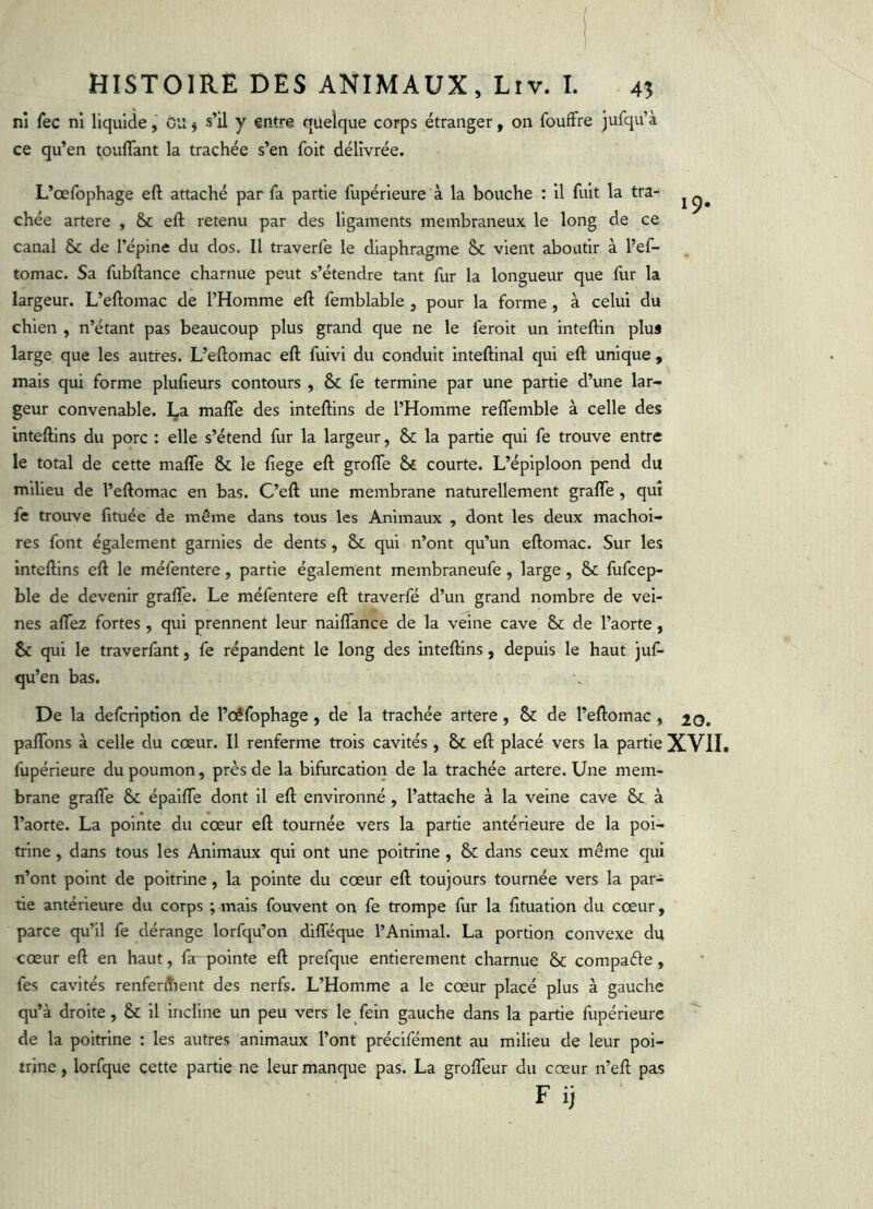ni fec ni liquide, Ciî $ s’il y entre quelque corps étranger, on foufFre jufqu’à ce qu’en touflant la trachée s’en foit délivrée. L’œfophage eft attaché par fa partie fupérieure à la bouche : il fuit la tra- chée artere , & eft retenu par des ligaments membraneux le long de ce canal ôc de l’épine du dos. Il traverfe le diaphragme &c vient aboutir à l’ef- tomac. Sa fubftance charnue peut s’étendre tant fur la longueur que fur la largeur. L’eftomac de l’Homme eft femblable , pour la forme , à celui du chien , n’étant pas beaucoup plus grand que ne le feroit un inteftin plus large que les autres. L’eftomac eft fuivi du conduit inteftinal qui eft unique , mais qui forme plufteurs contours , & fe termine par une partie d’une lar- geur convenable. La maflfe des inteftins de l’Homme reflemble à celle des inteftins du porc : elle s’étend fur la largeur, & la partie qui fe trouve entre le total de cette malTe & le fiege eft grofle &£ courte. L’épiploon pend du milieu de l’eftomac en bas. C’eft une membrane naturellement graftTe , qui fe trouve fituée de même dans tous les Animaux , dont les deux mâchoi- res font également garnies de dents, Sc qui n’ont qu’un eftomac. Sur les inteftins eft le méfentere, partie également membraneufe, large, fufcep- ble de devenir grafle. Le méfentere eft traverfé d’un grand nombre de vei- nes aflre2 fortes , qui prennent leur naiftfance de la veine cave &c de l’aorte, Sc qui le traverfant, fe répandent le long des inteftins, depuis le haut juf- qu’en bas. De la defcription de l’oêfophage , de la trachée artere , & de l’eftomac , 20. paflTons à celle du cœur. Il renferme trois cavités , & eft placé vers la partie XVII. fupérieure du poumon, près de la bifurcation de la trachée artere. Une mem- brane grafle & épaifle dont il eft environné, l’attache à la veine cave & à l’aorte. La pointe du cœur eft tournée vers la partie antérieure de la poi- trine , dans tous les Animaux qui ont une poitrine , & dans ceux même qui n’ont point de poitrine, la pointe du cœur eft toujours tournée vers la par- ne antérieure du corps ; mais fouvent on fe trompe fur la fituation du cœur, parce qu’il fe dérange lorfqu’on difféque l’Animal. La portion convexe du cœur eft en haut, far pointe eft prefque entièrement charnue & compaéle, fes cavités renferiTient des nerfs. L’Homme a le cœur placé plus à gauche qu’à droite, & il incline un peu vers le fein gauche dans la partie fupérieure de la poitrine : les autres animaux l’ont préclfément au milieu de leur poi- trine , lorfque cette partie ne leur manque pas. La grofteur du cœur n’eft pas F ij