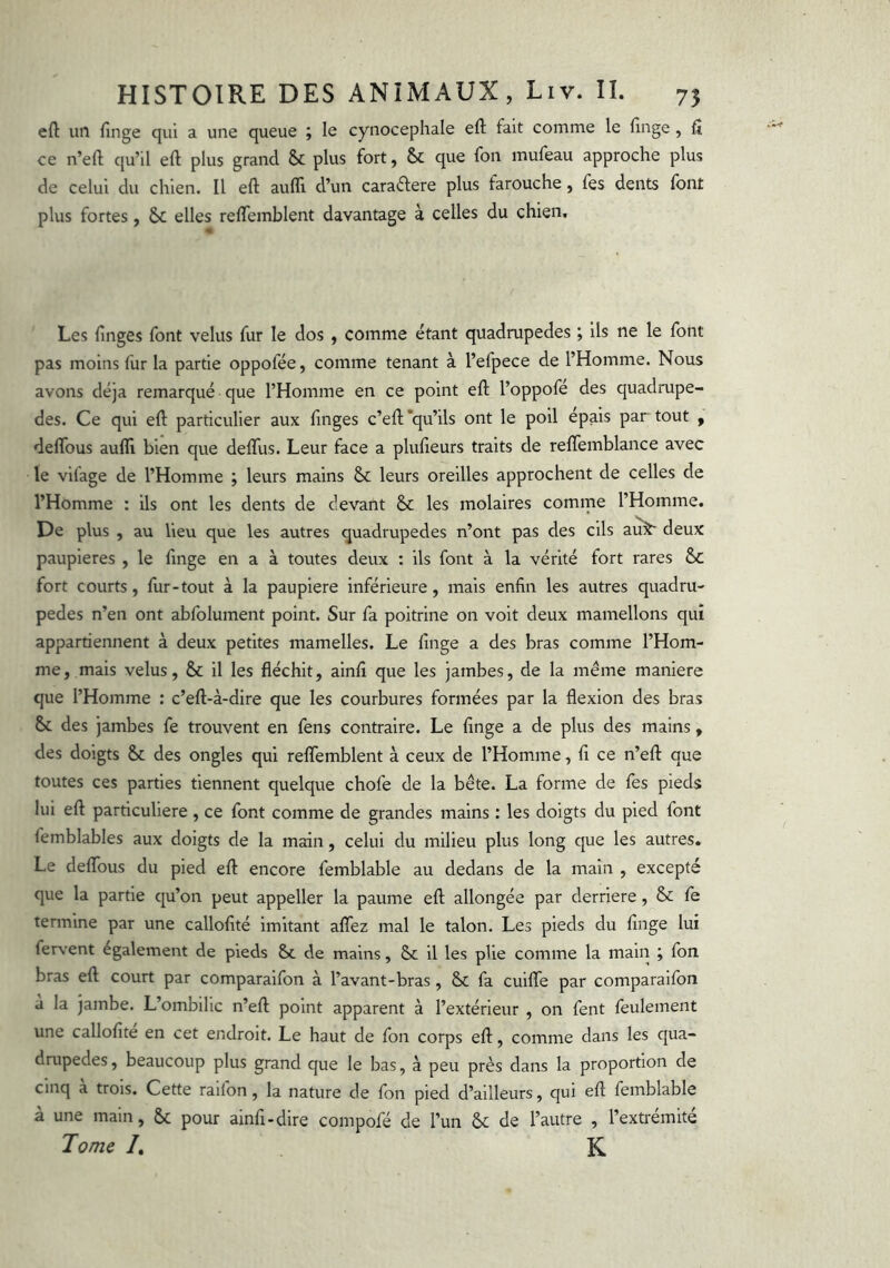 eft uiî finge qui a une queue ; le cynocephale efi: fait comme le finge , fi ce n’efi: qu’il eft plus grand & plus fort, & que fon mufeau approche plus de celui du chien. Il eft aulfi d’un caratftere plus farouche, fes dents font plus fortes, elles reflTemblent davantage à celles du chien. Les finges font velus fur le dos , comme étant quadrupedes ; ils ne le font pas moins fur la partie oppofée, comme tenant à l’efpece de l’Homme. Nous avons déjà remarqué que l’Homme en ce point eft l’oppofé des quadrupe- des. Ce qui eft particulier aux finges c’eft*qu’ils ont le poil épais partout , deflbus auffi bien que defifus. Leur face a plufieurs traits de relTemblance avec le vifage de l’Homme ; leurs mains leurs oreilles approchent de celles de l’Homme : ils ont les dents de devant & les molaires comme l’Homme. De plus , au lieu que les autres quadrupedes n’ont pas des cils au^ deux paupières , le finge en a à toutes deux : ils font à la vérité fort rares &C fort courts, fur-tout à la paupière inférieure, mais enfin les autres quadru- pedes n’en ont abfolument point. Sur fa poitrine on voit deux mamellons qui appartiennent à deux petites mamelles. Le finge a des bras comme l’Hom- me, mais velus, & il les fléchit, ainfi que les jambes, de la même maniéré que l’Homme : c’eft-à-dire que les courbures formées par la flexion des bras &c des jambes fe trouvent en fens contraire. Le finge a de plus des mains , des doigts & des ongles qui reflemblent à ceux de l’Homme, fi ce n’eft que toutes ces parties tiennent quelque chofe de la bête. La forme de fes pieds lui eft particulière, ce font comme de grandes mains : les doigts du pied font femblables aux doigts de la main, celui du milieu plus long que les autres. Le delTous du pied eft encore femblable au dedans de la main , excepté que la partie c[u’on peut appeller la paume eft allongée par derrière, & fe termine par une callofité imitant aflez mal le talon. Les pieds du finge lui fervent également de pieds &c de mains, il les plie comme la main ; fon bras eft court par comparaifon à l’avant-bras, & fa cuifle par comparaifon a la jambe. L’ombilic n’eft point apparent à l’extérieur , on fent feulement une callofité en cet endroit. Le haut de fon corps eft, comme dans les qua- drupedes, beaucoup plus grand que le bas, à peu près dans la proportion de cinq a trois. Cette raifon, la nature de fon pied d’ailleurs, qui eft femblable à une main, &; pour ainfi-dire compofé de l’un & de l’autre , l’extrémité Tome /. K