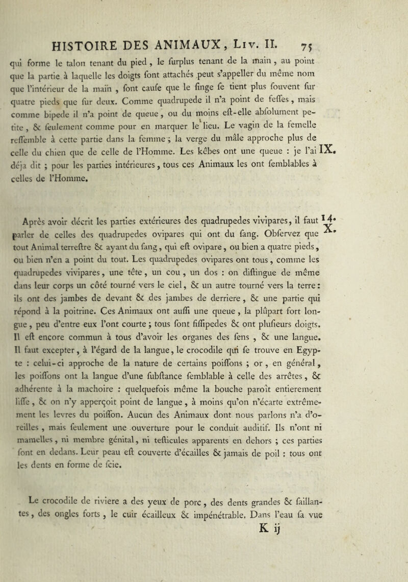 qiii forme le talon tenant du pied , le furplus tenant de la main , au point que la partie à laquelle les doigts font attachés peut s’appeler du même nom que l’intérieur de la main , font caufe que le linge fe tient plus fouvent fur quatre pieds que lur deux. Comme quadrupede il n a point de felTes, mais comme bipede il n’a point de queue, ou du moins ell-elle abfolument pe- tite , & feulement comme pour en marquer le lieu. Le vagin de la femelle relTemble à cette partie dans la femme ; la verge du mâle approche plus de celle du chien que de celle de l’Homme. Les kêbes ont une queue : je l’ai IX déjà dit ; pour les parties intérieures, tous ces Animaux les ont femblables à celles de l’Homme, Après avoir décrit les parties extérieures des quadrupedes vivipares, il faut M parler de celles des quadrupedes ovipares qui ont du fang. Obfervez que tout Animal terreftre S>c ayant du fang, qui eft ovipare, ou bien a quatre pieds , ou bien n’en a point du tout. Les quadrupedes ovipares ont tous, comme les quadrupedes vivipares, une tête , un cou , un dos : on diftingue de même dans leur corps un côté tourné vers le ciel, & un autre tourné vers la terre : ils ont des jambes de devant & des jambes de derrière , & une partie qui répond à la poitrine. Ces Animaux ont aufll une queue , la plupart fort lon- gue , peu d’entre eux l’ont courte ; tous font filfipedes & ont plufieurs doigts. Il eft encore commun à tous d’avoir les organes des feus , & une langue. Il faut excepter, à l’égard de la langue, le crocodile qui fe trouve en Egyp- te : celui-ci approche de la nature de certains poiftbns ; or , en général, les poiftbns ont la langue d’une fubftance femblable à celle des arrêtes, 6c adhérente à la mâchoire : quelquefois même la bouche paroît entièrement lifte, on n’y apperqoit point de langue, à moins qu’on n’écarte extrême- ment les levres du poifton. Aucun des Animaux dont nous parlons n’a d’o- reilles , mais feulement une ouverture pour le conduit auditif. Ils n’ont ni mamelles, ni membre génital, ni tefticules apparents en dehors ; ces parties font en dedans. Leur peau eft couverte d’écailles &: jamais de poil : tous ont les dents en forme de fcie. Le crocodile de riviere a des yeux de porc , des dents grandes 6c faillan- tes, des ongles forts , le cuir écailleux 6c impénétrable. Dans l’eau fa vue Kij