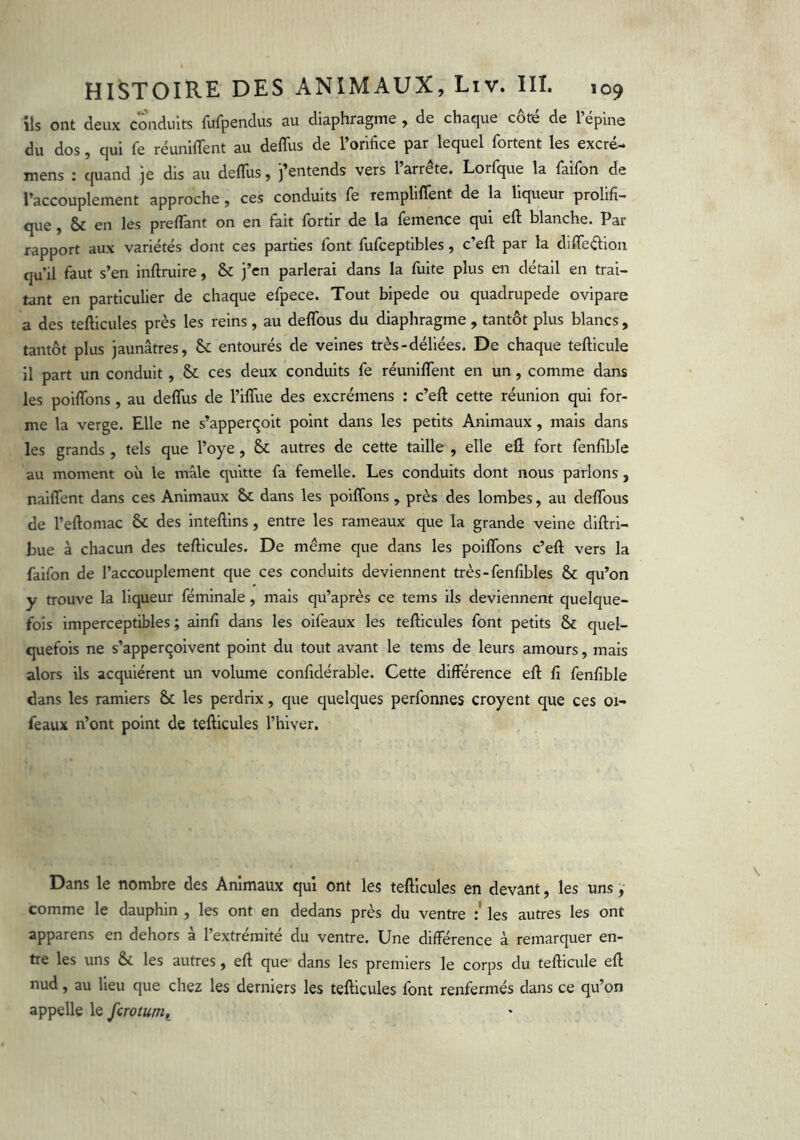 ils ont deux conduits fufpendus au diaphragme , de chaque cote de l epine du dos, qui fe réuniflent au deffus de l’orifice par lequel fortent les excré- mens : quand je dis au deflus, j’entends vers 1 arrête. Lorfque la faifbn de l’accouplement approche, ces conduits fe rempliffent de la liqueur prolifi- que , & en les prelTant on en fait fortir de la femence qui eft blanche. Par rapport aux variétés dont ces parties font fufceptibles, c’efl: par la dififeélion qu’il faut s’en inftruire, & j’en parlerai dans la fuite plus en détail en trai- tant en particulier de chaque efpece. Tout bipede ou quadrupede ovipare a des tefticules près les reins , au delTous du diaphragme , tantôt plus blancs , tantôt plus jaunâtres, & entourés de veines très-déliées. De chaque tefticule il part un conduit, & ces deux conduits fe réunllTent en un, comme dans les poiffons, au deffus de l’iffue des excrémens : c’eft cette réunion qui for- me la verge. Elle ne s’apperçoit point dans les petits Animaux, mais dans les grands , tels que l’oye, & autres de cette taille , elle efl fort fenfible au moment où le mâle quitte fa femelle. Les conduits dont nous parlons , naiffent dans ces Animaux & dans les poiffons , près des lombes, au deffous de l’eftomac & des inteftins, entre les rameaux que la grande veine dlftri- bue à chacun des teftlcules. De même que dans les poiffons c’eft vers la falfon de l’accouplement que ces conduits deviennent très-fenfibles & qu’on y trouve la liqueur fémlnale, mais qu’après ce tems ils deviennent quelque- fois imperceptibles; ainfi dans les olfeaux les tefticules font petits & quel- quefois ne s’apperçoivent point du tout avant le tems de leurs amours, mais alors ils acquiérent un volume confidérable. Cette différence eft fi fenfible dans les ramiers & les perdrix, que quelques perfonnes croyent que ces oi- feaux n’ont point de tefticules l’hiver. Dans le nombre des Animaux qui ont les tefticules en devant, les uns, comme le dauphin , les ont en dedans près du ventre les autres les ont apparens en dehors à l’extrémité du ventre. Une différence à remarquer en- tre les uns &c les autres, eft que dans les premiers le corps du tefticule eft nud, au lieu que chez les derniers les tefticules font renfermés dans ce qu’on appelle le fcrotumi
