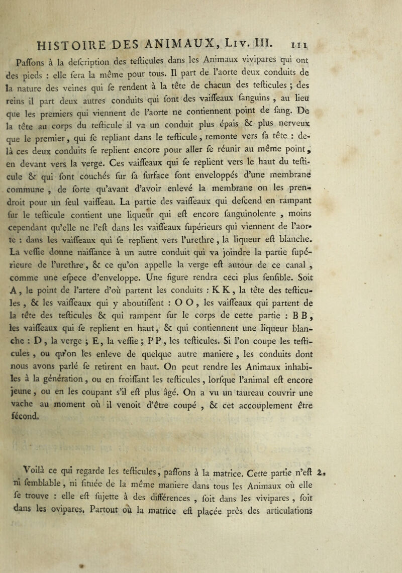 Paffons à la dcfcription des tefticules dans les Animaux vivipares qui ont des pieds : elle fera la meme pour tous. Il part de 1 aorte deux conduits de la nature des veines qui le rendent a la tete de chacun des tefticules j des reins il part deux autres conduits qui font des vailTeaux fanguins , au lieu que les premiers qui viennent de l’aorte ne contiennent point de lang. De la tête au corps du tefticule il va un conduit plus épais & plus nerveux que le premier, qui fe repliant dans le tefticule, remonte vers fa tete : de- là ces deux conduits fe replient encore pour aller fe réunir au même point, en devant vers la verge. Ces vailTeaux qui fe replient vers le haut du tefti- cule & qui font couchés fur fa furface font enveloppés d’une membrane commune , de forte qu’avant d’avoir enlevé la membrane on les pren» droit pour un leul vaifleau. La partie des vailTeaux qui delcend en rampant fur le tefticule contient une liqueur qui eft encore fangulnolente , moins cependant qu’elle ne l’eft dans les vailTeaux fupérleurs qui viennent de l’aor- te : dans les vailTeaux qui fe replient vers l’urethre , la liqueur eft blanche. La veflie donne nailTance à un autre conduit qui va joindre la partie fupé- rieure de l’urethre, & ce qu’on appelle la verge eft autour de ce canal , comme une elpece d’enveloppe. Une figure rendra ceci plus fenfible. Soit A, le point de l’artere d’où partent les conduits ; K K, la tête des tefticu- les , & les vailTeaux qui y aboutilTent : O O , les vailTeaux qui partent de la tête des tefticules & qui rampent fur le corps de cette partie ; B B , les vailTeaux qui fe replient en haut, & qui contiennent une liqueur blan- che : D , la verge ; E, la velfte ; P P , les tefticules. Si l’on coupe les tefti- cules , ou qifon les enleve de quelque autre maniéré , les conduits dont nous avons parlé fe retirent en haut. On peut rendre les Animaux inhabi- les à la génération, ou en frollTant les tefticules, lorfque l’animal eft encore jeune, ou en les coupant s’il eft plus âgé. On a vu un taureau couvrir une vache au moment où il venoit d’être coupé , & cet accouplement être fécond. ^ Voilà ce qui regarde les tefticules, paftbns à la matrice. Cette partie n’eft Z ni femblable, ni fttuee de la meme maniéré dans tous les Animaux où elle fe trouve . elle eft fùjette a des différences , foit dans les vivipares , foit dans les ovipares, Partout où la matrice eft placée près des articulations