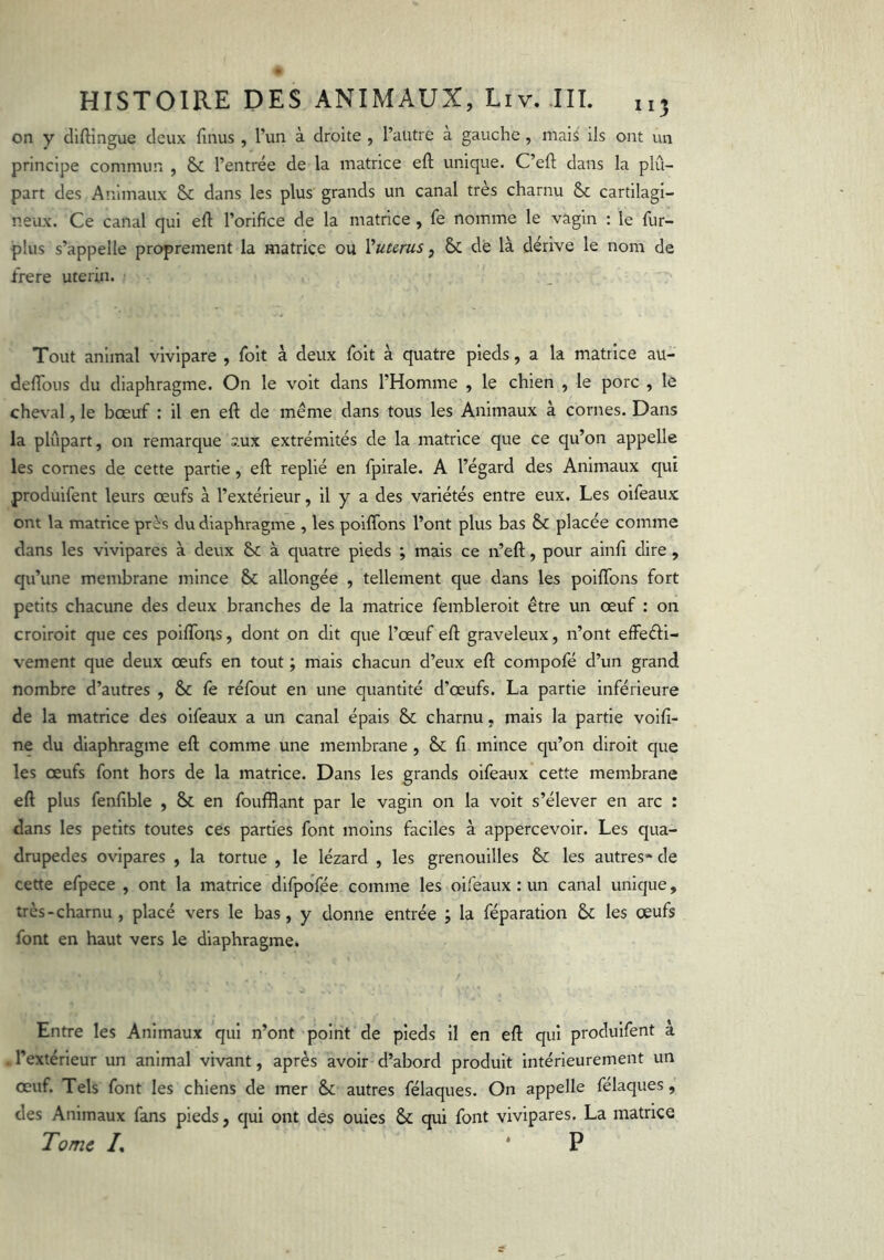 on y diftîngue deux finus , l’un à droite , l’autre a gauche , mais ils ont un principe commu-n , & l’entrée de la matrice eft unique. C’eft dans la plû- part des Animaux & dans les plus grands un canal très charnu & cartilagi- neux. Ce canal qui eft l’orifice de la matrice , fe nomme le vagin : le fur- plus s’appelle proprement la matrice ou Vute-rus, & de là dérive le nom de frere utérin. Tout animal vivipare , foit à deux foit à quatre pieds, a la matrice au- deflbus du diaphragme. On le voit dans l’Homme , le chien , le porc , le cheval, le bœuf : il en eft de même dans tous les Animaux à cornes. Dans la plupart, on remarque aux extrémités de la matrice que ce qu’on appelle les cornes de cette partie, eft replié en fpirale. A l’égard des Animaux qui produifent leurs œufs à l’extérieur, il y a des variétés entre eux. Les oifeaux ont la matrice près du diaphragme , les poiftons l’ont plus bas & placée comme dans les vivipares à deux & à quatre pieds ; mais ce n’eft, pour ainft dire , qu’une membrane mince & allongée , tellement que dans les poiftons fort petits chacune des deux branches de la matrice fembleroit être un œuf : on crolrolt que ces poiftons, dont on dit que l’œuf eft graveleux, n’ont effedi- vement que deux œufs en tout ; mais chacun d’eux eft compofé d’un grand nombre d’autres , & fe réfout en une quantité d’œufs. La partie inférieure de la matrice des oifeaux a un canal épais & charnu, mais la partie volfî- ne du diaphragme eft comme une membrane , & fi mince qu’on dirolt que les œufs font hors de la matrice. Dans les grands oifeaux cette membrane eft plus fenfible , & en foufftant par le vagin on la voit s’élever en arc : dans les petits toutes ces parties font moins faciles à appercevoir. Les qua- drupedes ovipares , la tortue , le lézard , les grenouilles & les autres» de cette efpece , ont la matrice difpofée comme les oifeaux : un canal unique, très - charnu , placé vers le bas, y donne entrée ; la féparation & les œufs font en haut vers le diaphragme. Entre les Animaux qui n’ont point de pieds il en eft qui produifent à l’extérieur un animal vivant, après avoir d’abord produit intérieurement un œuf. Tels font les chiens de mer &; autres félaques. On appelle félaques, des Animaux fans pieds, qui ont des ouies & qui font vivipares. La matrice Tome /. * P