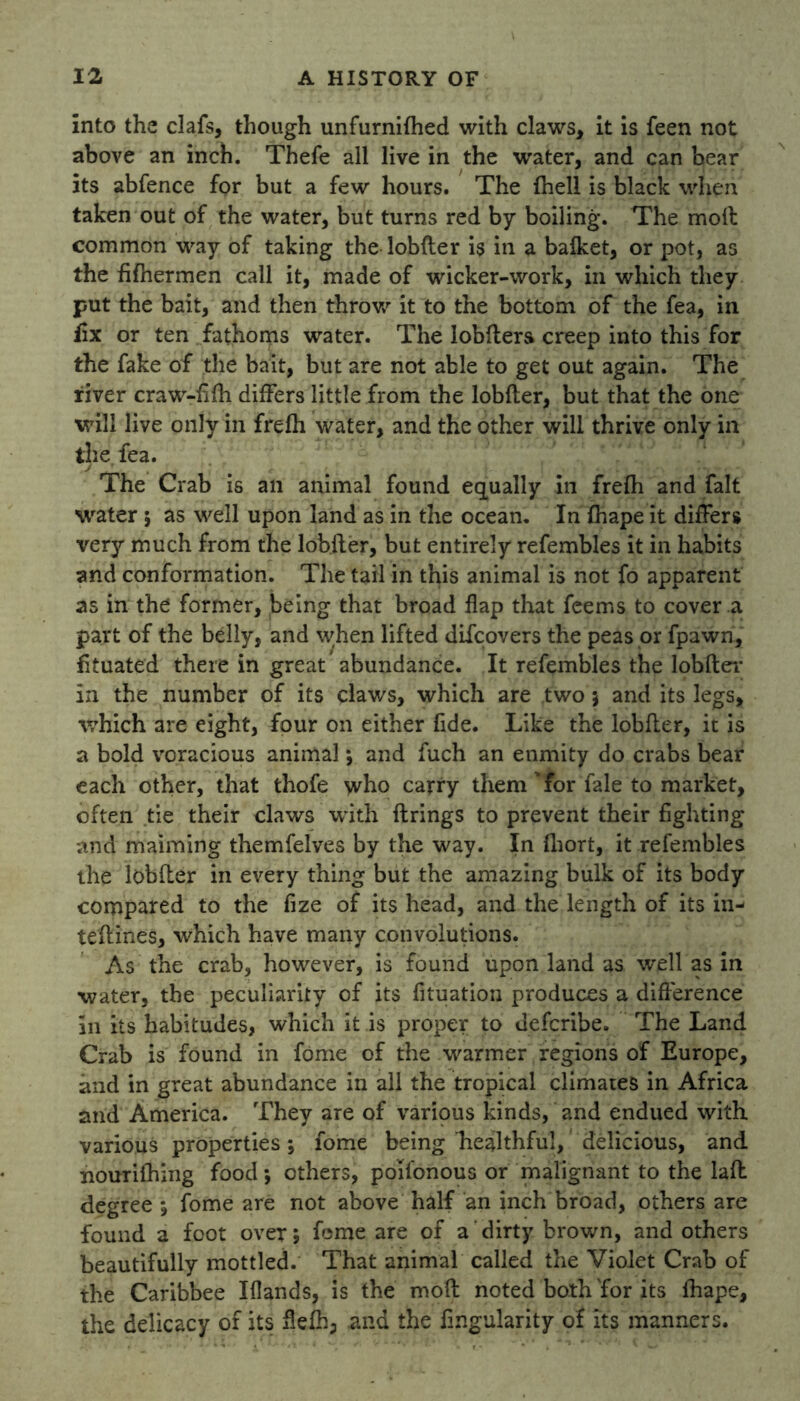 into the clafs, though unfurnifhed with claws, it is feen not above an inch. Thefe all live in the water, and can bear its abfence for but a few hours. The {hell is black when taken out of the water, but turns red by boiling. The moil common way of taking the Iobfter is in a bafket, or pot, as the fifhermen call it, made of wicker-work, in which they put the bait, and then throw it to the bottom of the fea, in iix or ten fathoms water. The lobfters creep into this for the fake of the bait, but are not able to get out again. The river craw-fifh differs little from the Iobfter, but that the one will live only in frefh water, and the other will thrive only in the fea. The Crab is an animal found equally in frefh and fait water ; as well upon land as in the ocean. In {hape it differs very much from the Iobfter, but entirely refembles it in habits and conformation. The tail in this animal is not fo apparent as in the former, being that broad flap that feems to cover a part of the belly, and when lifted difeovers the peas or fpawn, fituated there in great abundance. It refembles the Iobfter in the number of its claws, which are two 5 and its legs, which are eight, four on either fide. Like the Iobfter, it is a bold voracious animal; and fuch an enmity do crabs bear each other, that thofe who carry them for fale to market, often tie their claws with firings to prevent their fighting and maiming themfelves by the way. In ftiort, it refembles the Iobfter in every thing but the amazing bulk of its body compared to the fize of its head, and the length of its in- teftines, which have many convolutions. As the crab, however, is found upon land as well as in water, the peculiarity of its fituation produces a difference in its habitudes, which it is proper to deferibe. The Land Crab is found in fome of the warmer regions of Europe, and in great abundance in all the tropical climates in Africa and America. They are of various kinds, and endued with various properties; fome being healthful, delicious, and nourifhing food-, others, poil'onous or malignant to the laft degree *, fome are not above half an inch broad, others are found a foot over; fome are of a' dirty brown, and others beautifully mottled. That animal called the Violet Crab of the Caribbee Iflands, is the molt noted both 'for its fhape, the delicacy of its flefh;, and the fingularity of its manners.