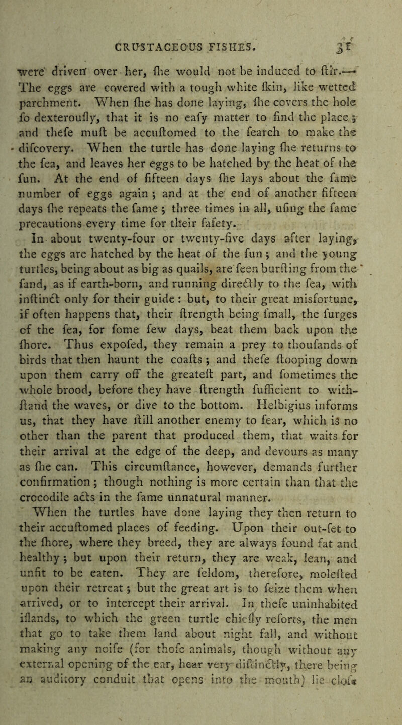 •were driven' over her, fire would not be induced to ftir.—* The eggs are covered with a tough white fkin, like wetted parchment. When fhe has done laying, fire covers the hole fo dexteroufly, that it is no eafy matter to find the place ; and thefe mull be accuftomed to the fearch to make the difcovery. When the turtle has done laying fhe returns to the fea, and leaves her eggs to be hatched by the heat of the fun. At the end of fifteen days fire lays about the fame number of eggs again ; and at the end of another fifteen days fhe repeats the fame ; three times in all, ufing the fame precautions every time for tlleir fafety. In about twenty-four or twenty-five days after laying, the eggs are hatched by the heat of the fun ; and the young turtles, being about as big as quails, are feen burfting from the * fand, as if earth-born, and running diredlly to the fea, with inftindl only for their guide : but, to their great misfortune, if often happens that, their flrength being fmall, the furges cf the fea, for fome few days, beat them back upon the fhore. Thus expofed, they remain a prey to tlroufands of birds that then haunt the coafts ; and thefe ftooping down upon them carry off the greateft part, and fometimes the whole brood, before they have flrength fuflicient to with- fland the waves, or dive to the bottom. Helbigius informs us, that they have flill another enemy to fear, which is no other than the parent that produced them, that waits for their arrival at the edge of the deep, and devours as many as flie can. This circumftance, however, demands further confirmation; though nothing is more certain than that the crocodile adls in the fame unnatural manner. When the turtles have done laying they then return to their accuftomed places of feeding. Upon their out-fet to the fhore, where they breed, they are always found fat and healthy ; but upon their return, they are weak, lean, and unfit to be eaten. They are feldom, therefore, molefted upon their retreat; but the great art is to feize them when arrived, or to intercept their arrival. In thefe uninhabited iflands, to which the green turtle chiefly reforts, the men that go to take them land about night fall, and without making any noife (for thofe animals, though without any external opening of the ear, hear very diftinclly, there being an auditory conduit that opens into the mouth) lie ck>f<