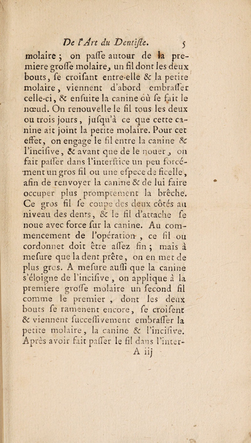 molaire} on pa(Te autour de la pre¬ mière groffe molaire., un fil dont les deux bouts, fe croifant entre-elle 8c la petite molaire, viennent d’abord embralfer celle-ci, 8c enfuite la canine où fe fait le nœud. On renouvelle le fil tous les deux ou trois jours, jufqu’à ce que cette ca¬ nine ait joint la pente molaire. Pour cet effet, on engage le fil entre la canine 8c l’incifive, 8c avant que de le nouer 011 fait palier dans l*interftice un peu forcé¬ ment un gros fil ou une efpece de ficelle, afin de renvoyer la canine 8c de lui faire occuper plus promptement la brèche. Ce gros fil fe coups des deux côtés au O X niveau des dents, 8c le fil d’attache fe noue avec force fur la canine. Au com¬ mencement de l’opération , ce fil ou cordonnet doit être allez fin ; mais à mefure que la dent prête, on en met de plus gros. A mefure aufli que la canine s’éloigne de Fincifive , on applique à la première greffe molaire un fécond fil comme le premier , dont les deux bouts fe ramènent encore, fe croifent 8c viennent iucceflivemenc embraffer la petite molaire, la canine 8c fincifive. Après avoir fait pafler le fil dans l’inter-