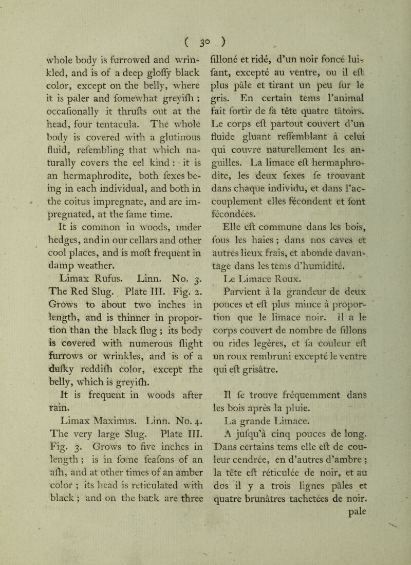 ( 3° ) whole body is furrowed and wrin- kled, and is of a deep glofly black color, except on the belly, where it is paler and fomewhat greyifh ; occafionally it thrufts out at the head, four tentacula. The whole body is covered with a glutinous fluid, refembling that which na- turally covers the eel kind : it is an hermaphrodite, both fexes be- ing in each individual, and both in the coitus impregnate, and are im- pregnated, at the fame time. It is common in woods, under hedges, andin our cellars and other cool places, and is mofl frequent in damp weather. Limax Rufus. Linn. No. 3. The Red Slug. Plate III. Fig. 2. Grows to about two inches in length, and is thinner in propor- tion than the black flug ; its body is covered with numerous flight furrows or wrinkles, and 'is of a dulky reddifh color, except the belly, which is greyitli. It is frequent in woods after rain. Limax Maximus. Linn. No. 4. The very large Slug. Plate III. Fig. 3. Grows to five inches in length ; is in fome feafons of an alTi, and at other times of an amber color ; its head is reticulated with black ; and on the back are three fillonc et ridé, d’un noir foncé luir^ fant, excepté au ventre, ou il eft plus pâle et tirant un peu fur le gris. En certain tems l’animal fait fortir de fa tête quatre tâtoirs. Le corps efl; partout couvert d’un fluide gluant reflemblant à celui qui couvre naturellement les an- guilles. La limace efl; hermaphro- dite, les deux fexes fe trouvant dans chaque individu, et dans l’ac- couplement elles fécondent et font fécondées. Elle efl commune dans les bois, fous les haies ; dans nos caves et autres lieux frais, et abonde davan- tage dans les tems d’humidité. Le Limace Roux. Parvient à la grandeur de deux pouces et efl plus mince à propor- tion que le limace noir. Il a le corps couvert de nombre de filions ou rides légères, et fa couleur efl un roux rembruni excepté le ventre qui efl grisâtre. Il fe trouve fréquemment dans les bois après la pluie. La grande Limace. A jufqu’à cinq pouces de long. 'Dans certains tems elle efl de cou- leur cendrée, en d’autres d’ambre ; la tête efl réticulée de noir, et au dos il y a trois lignes pâles et quatre brunâtres tachetées de noir. pale